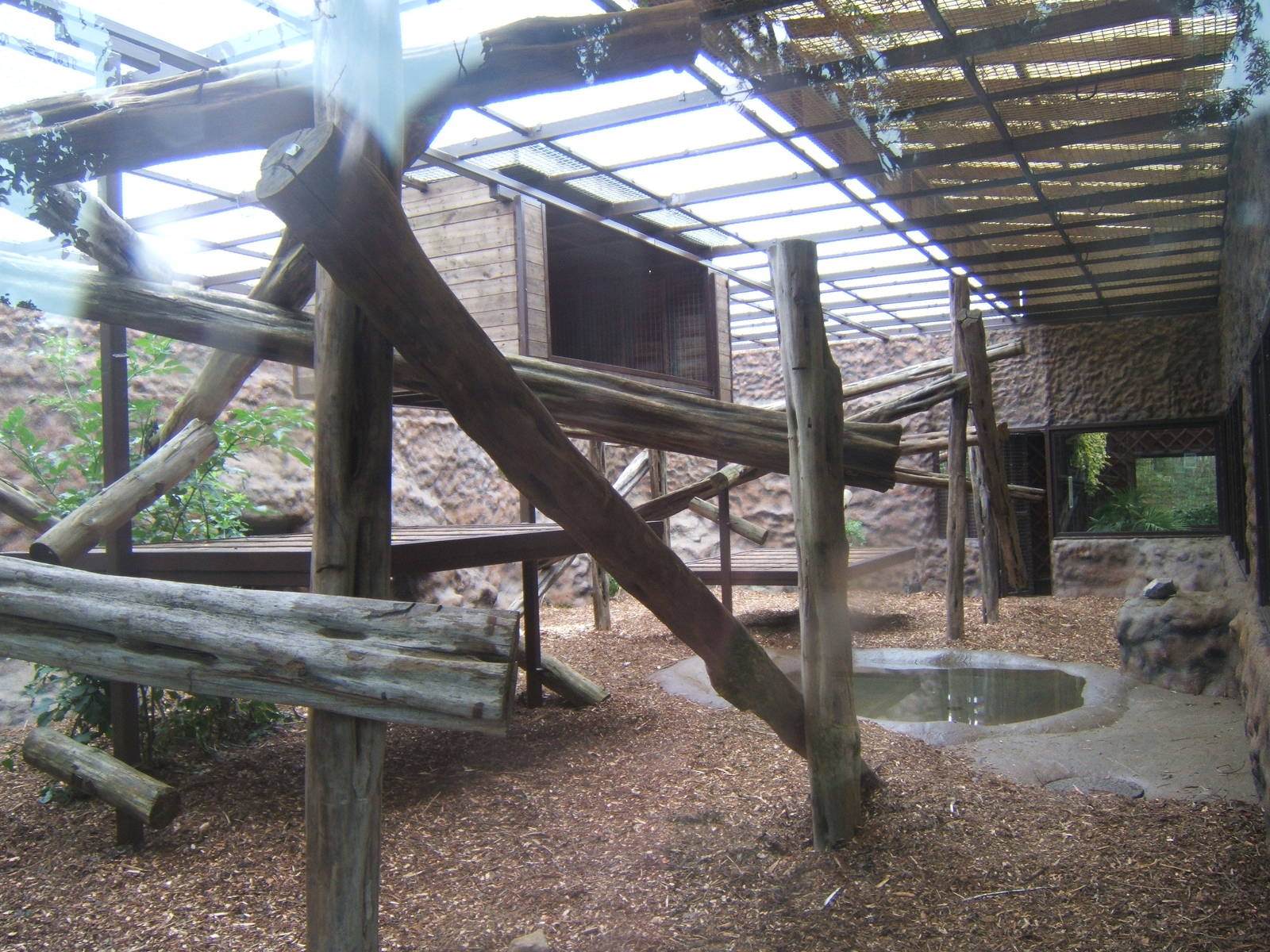 Enclosure awaiting Sun Bears from RSCC