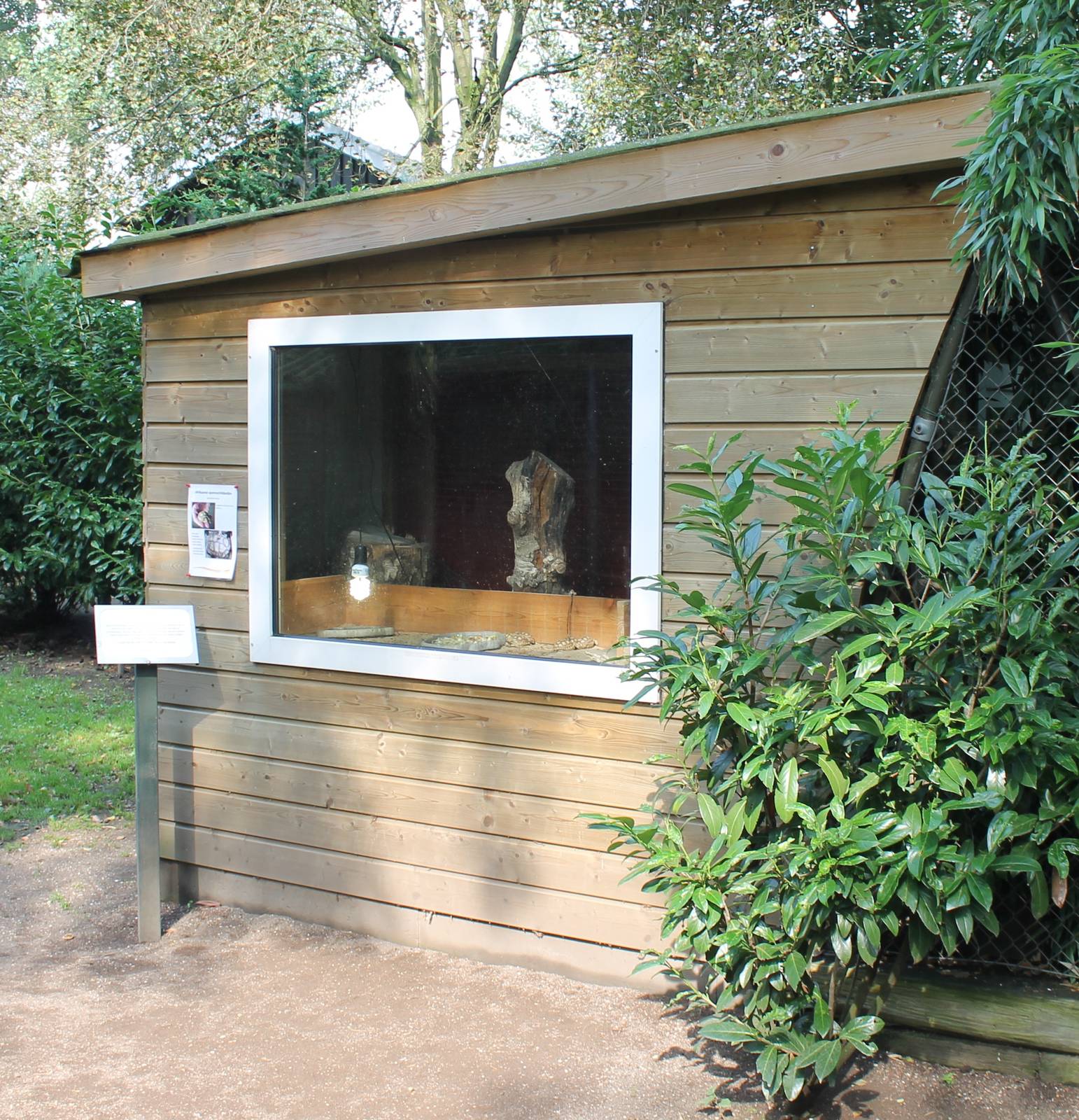 Enclosure baby African spurred tortoises