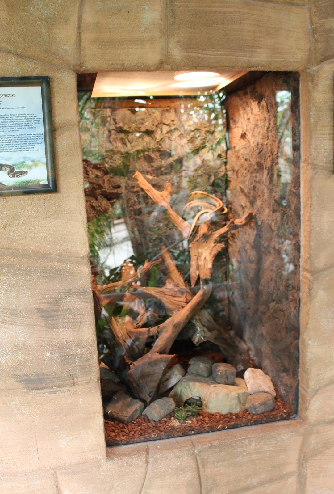 Enclosure Ball python