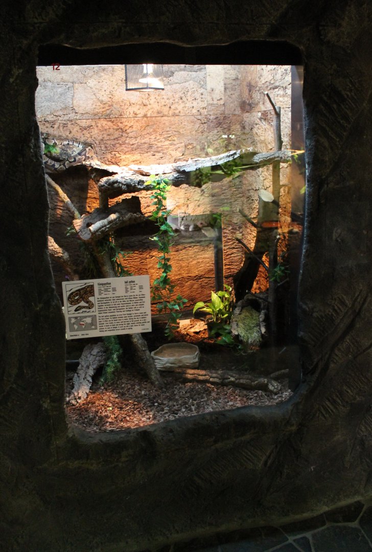 Enclosure Ball python