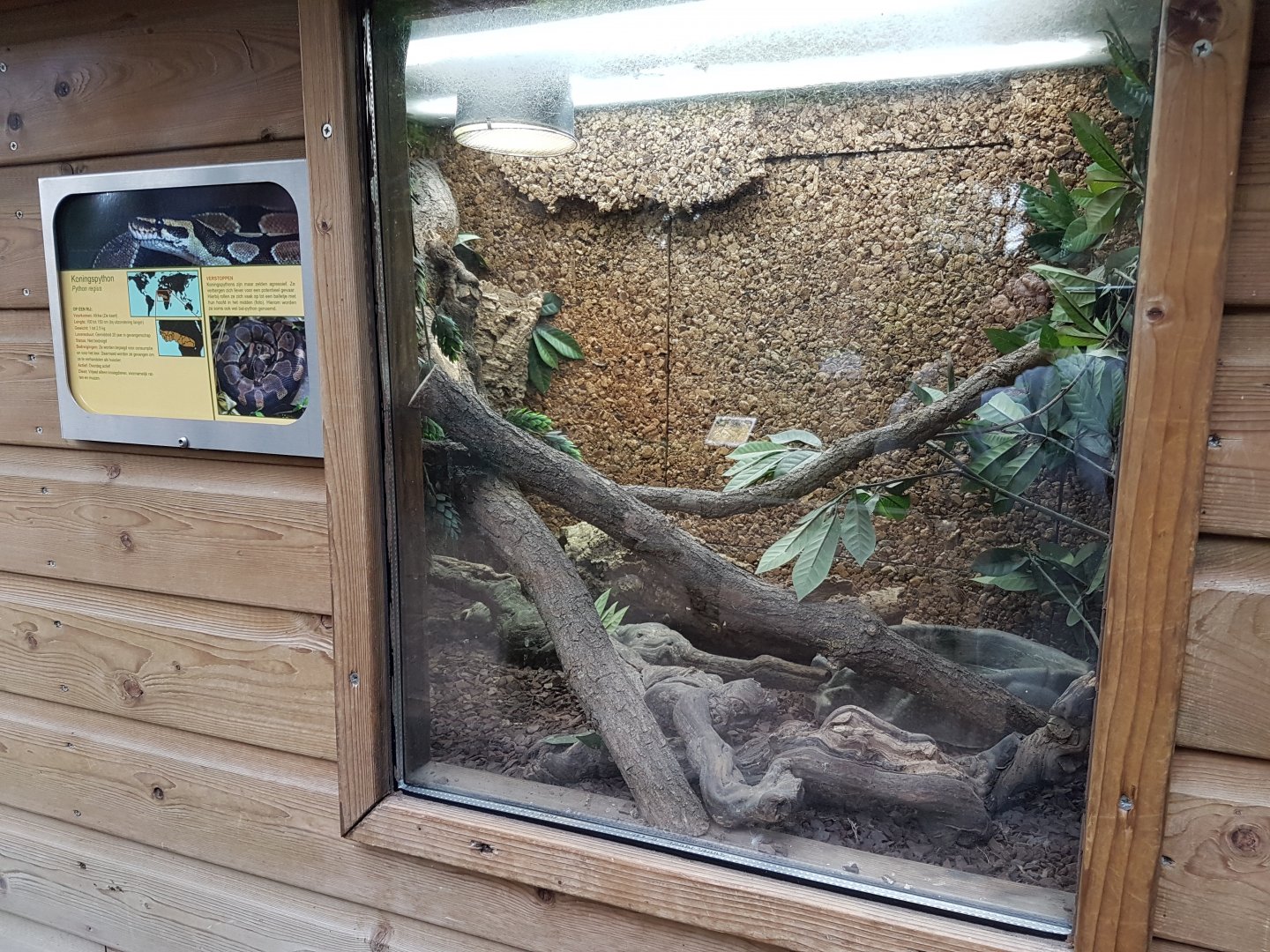 Enclosure Ball python