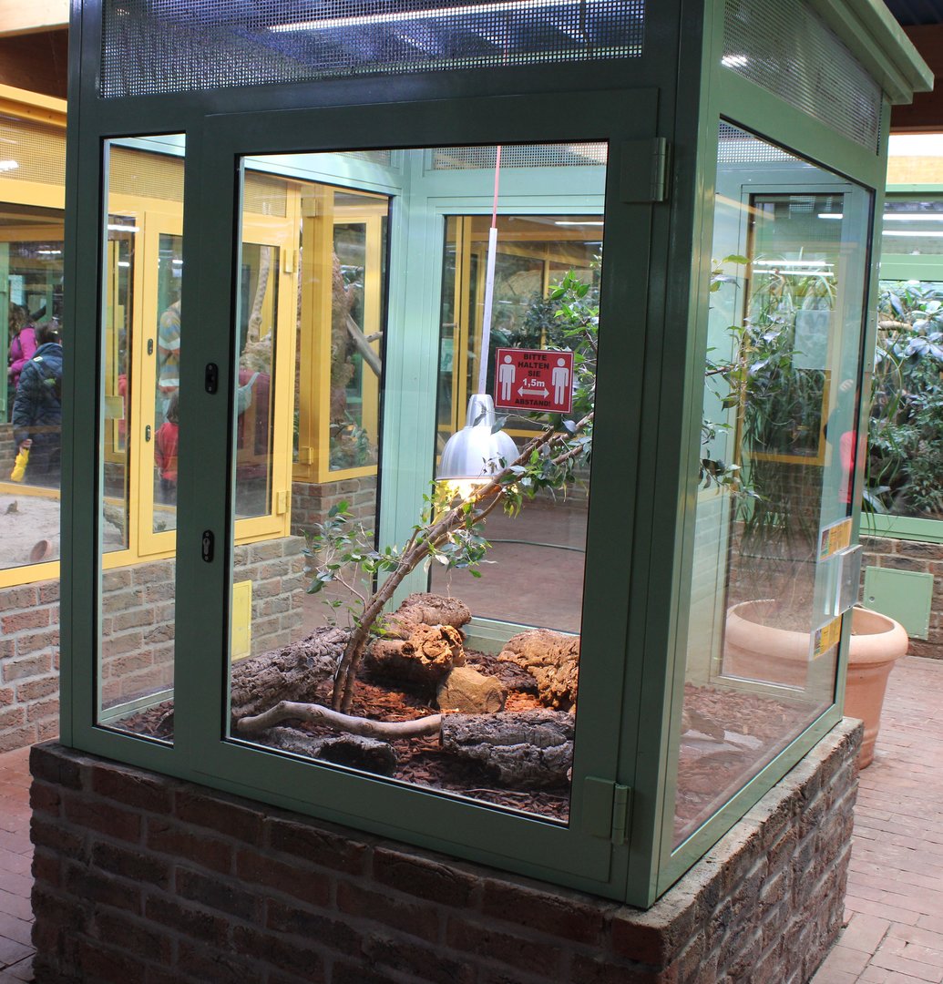 Enclosure Ball python