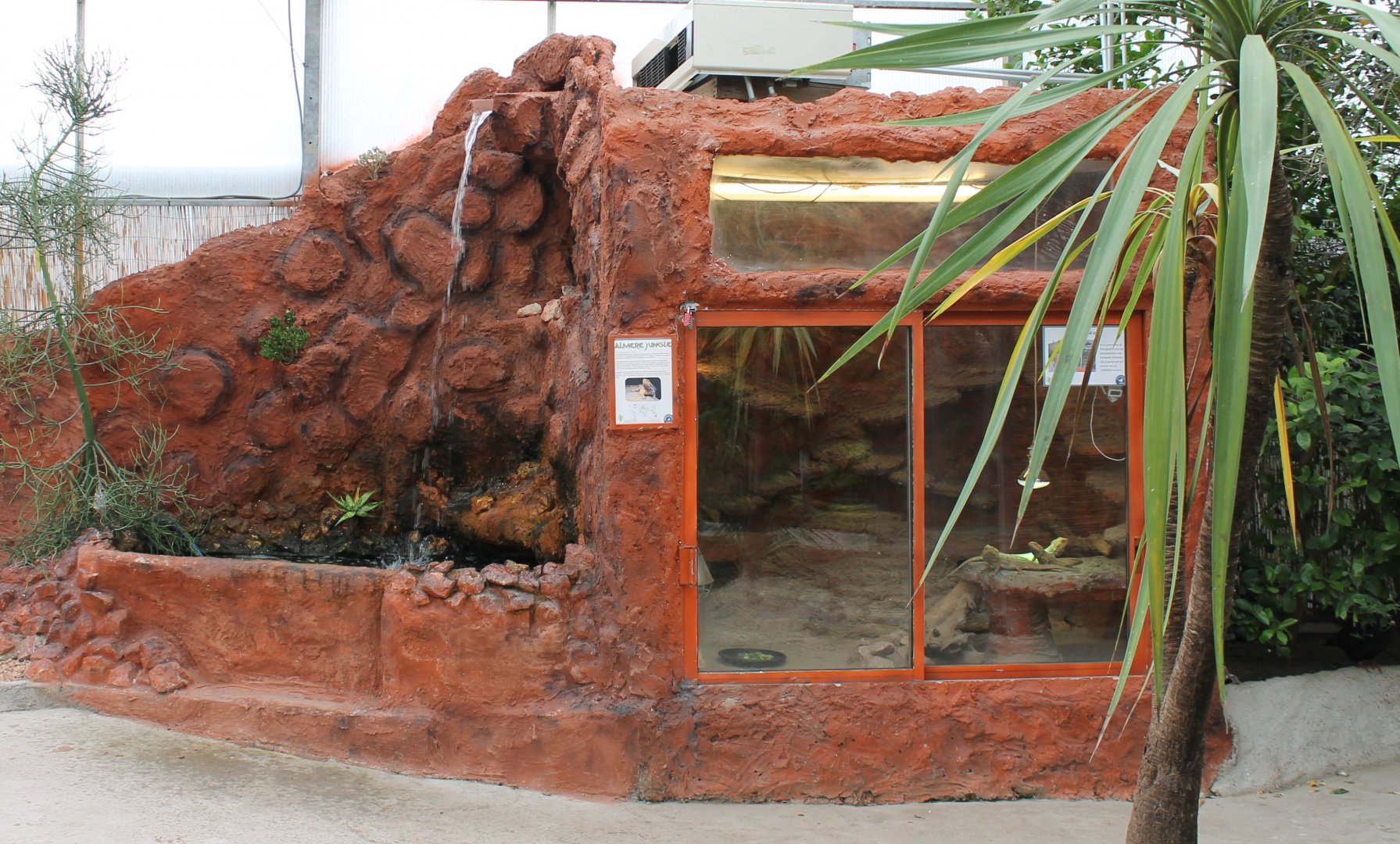 Enclosure Bearded dragons
