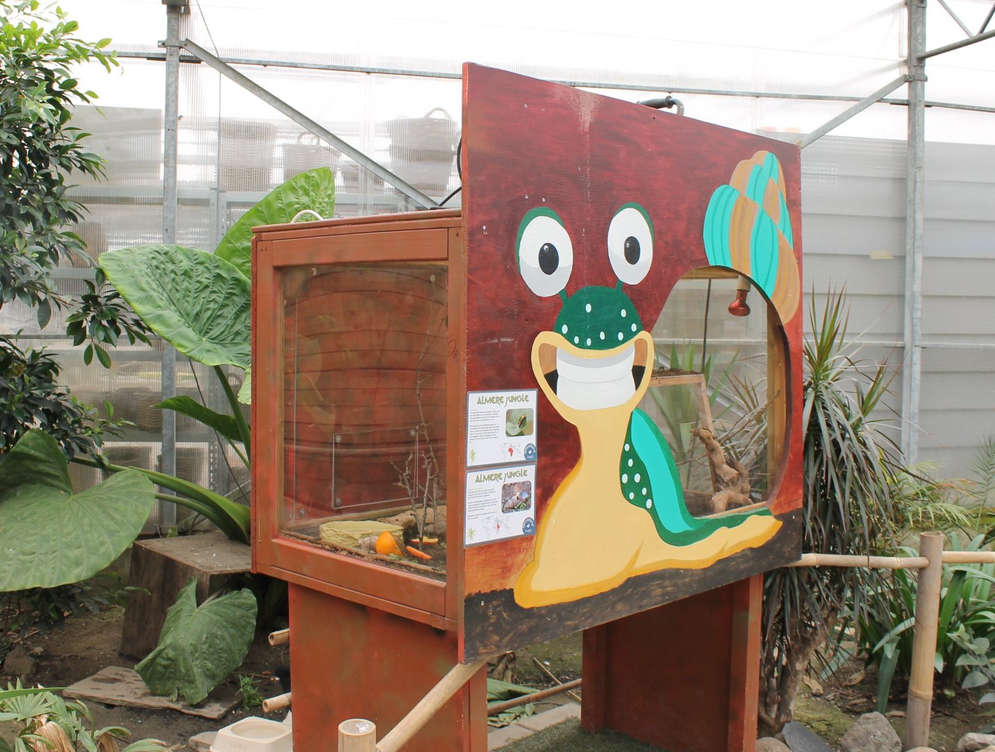 Enclosure Beetles - Snails