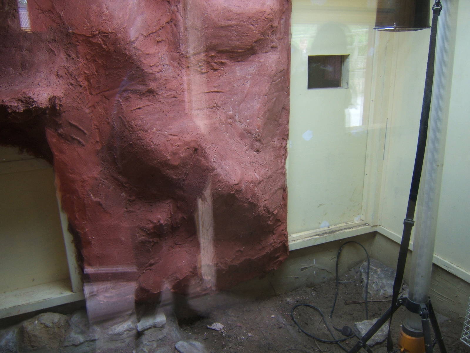 Enclosure being re-furbed for Bredl`s Python