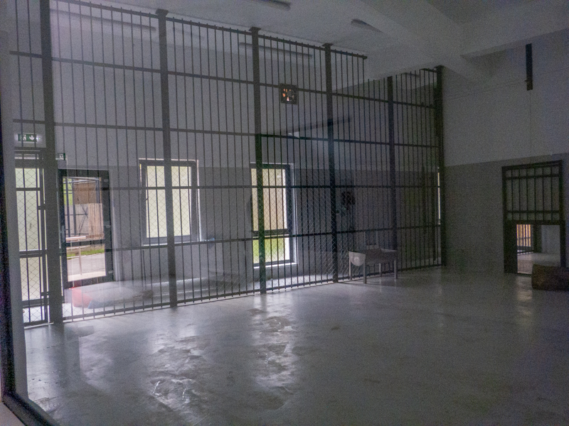 enclosure big cats (lion / jaguar)