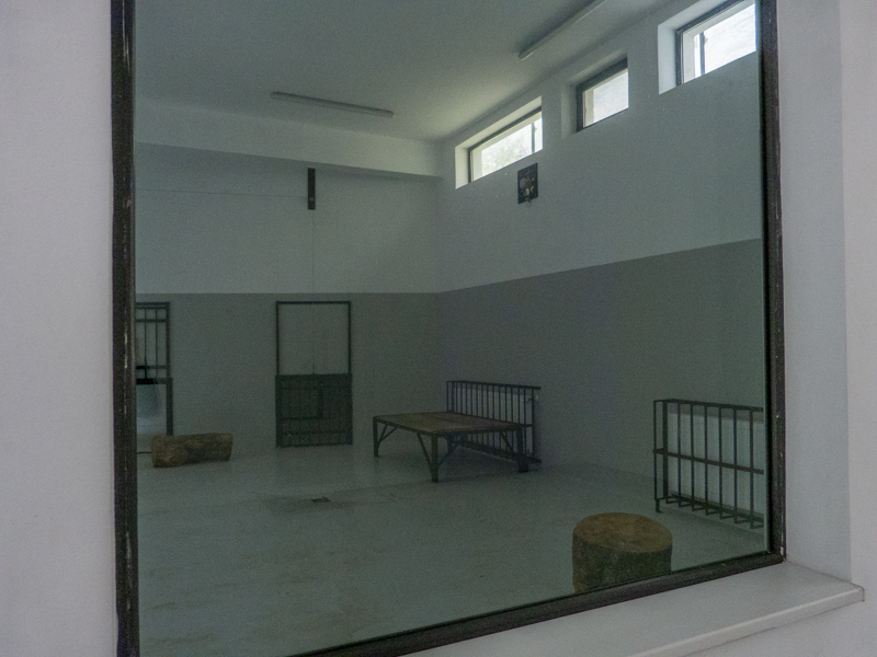 enclosure big cats (lion / jaguar)