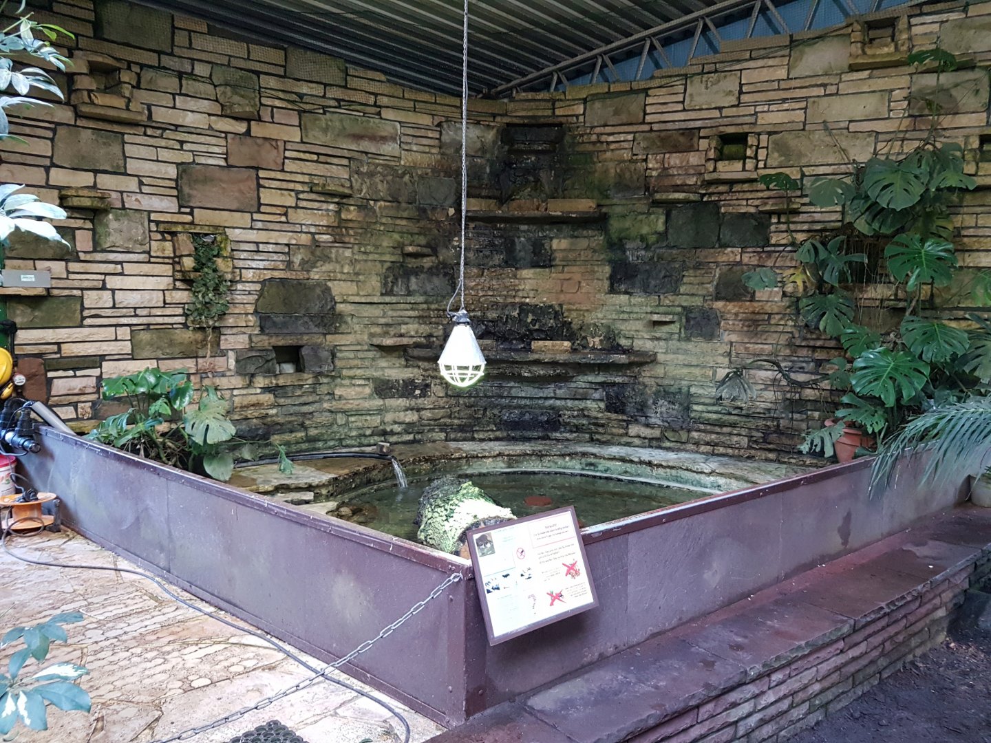 Enclosure Big-headed turtle