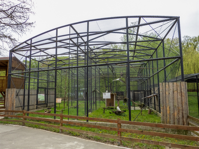 enclosure Birds of prey