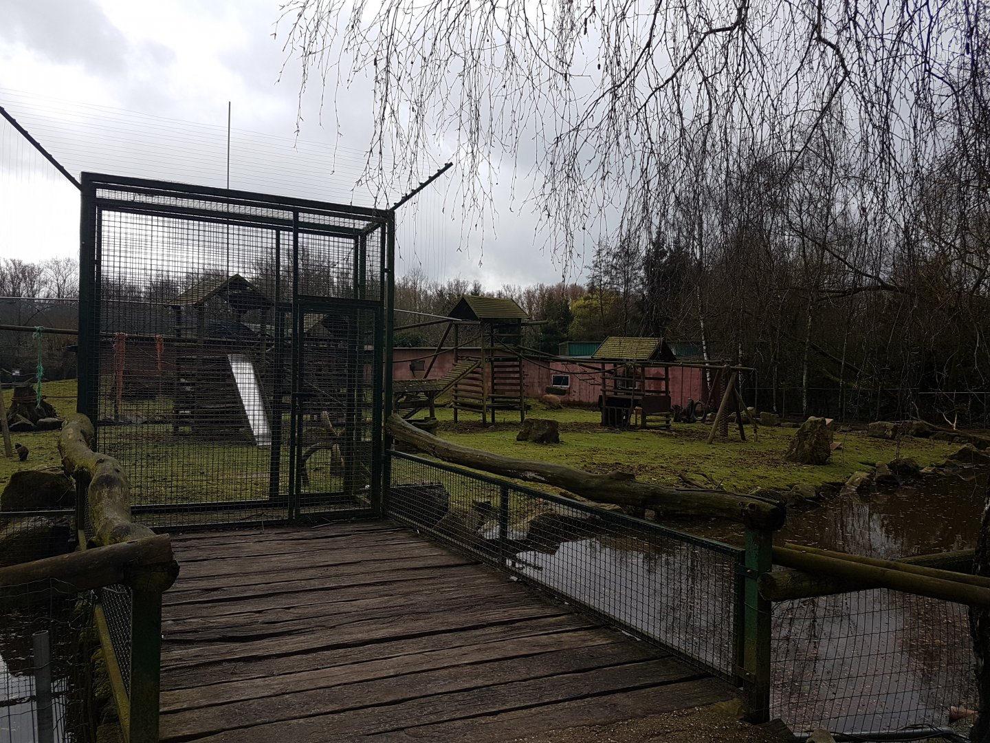 Enclosure Black-capped capuchin - Capybara