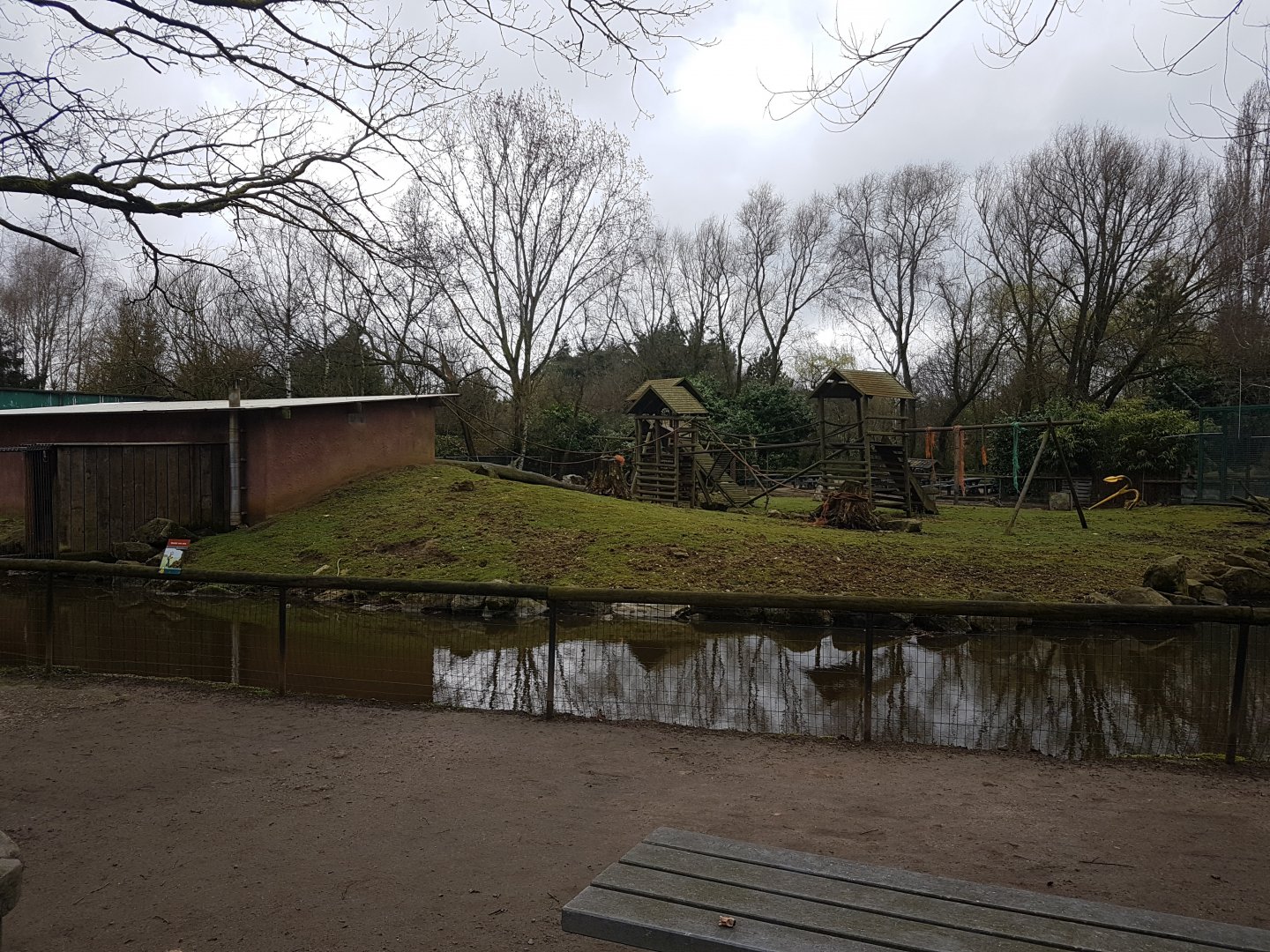 Enclosure Black-capped capuchin - Capybara