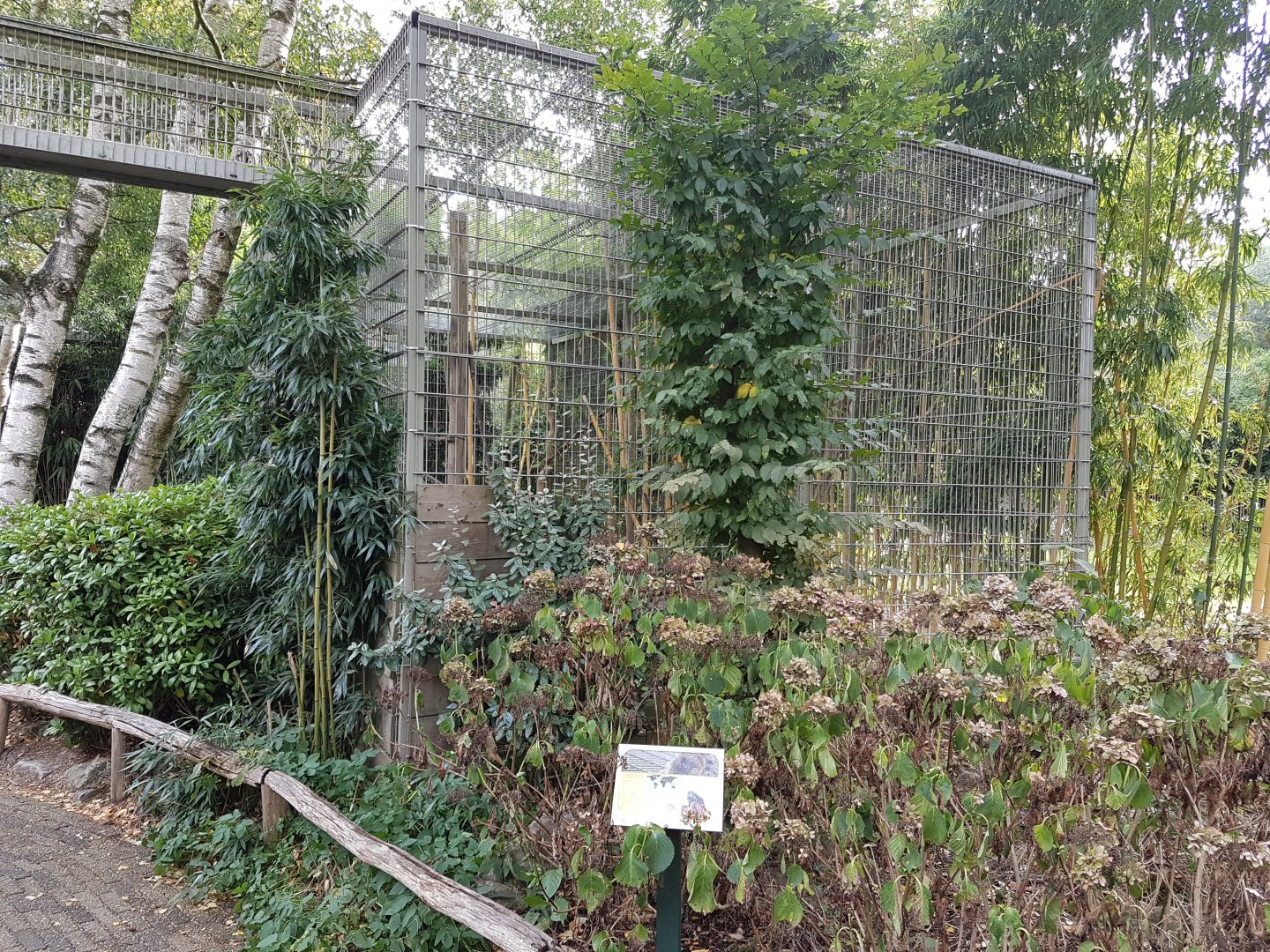 Enclosure Black howler monkey