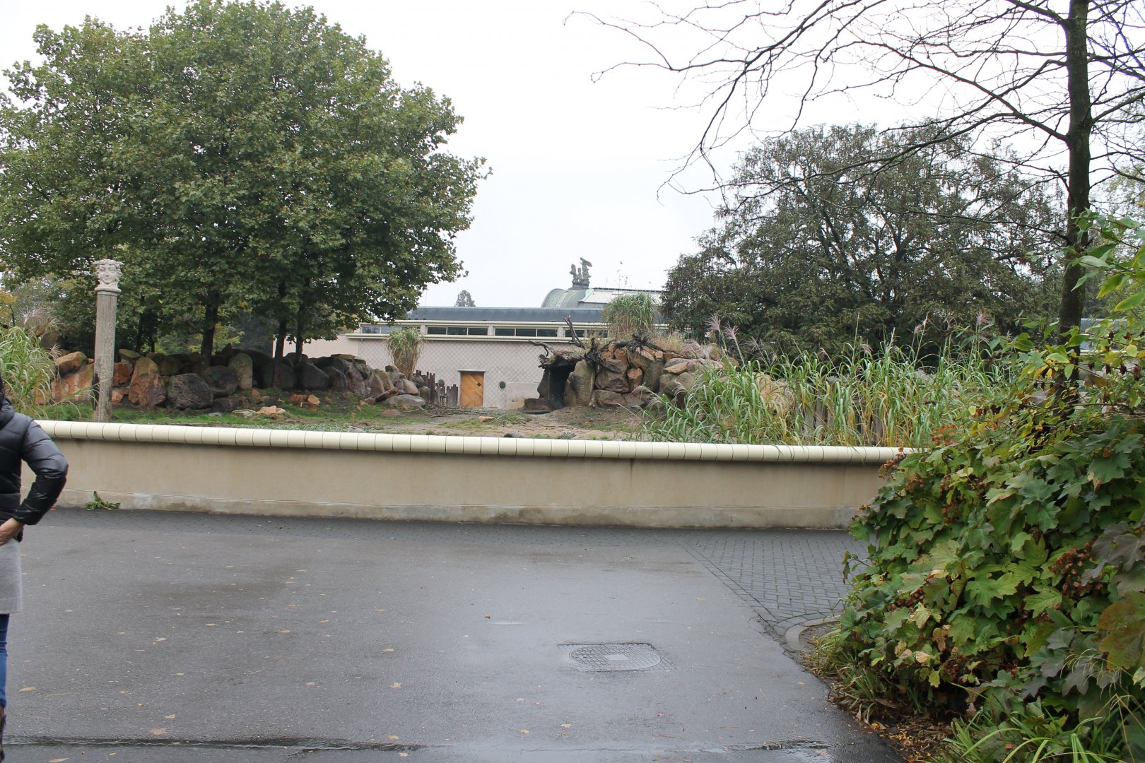 Enclosure Black rhino