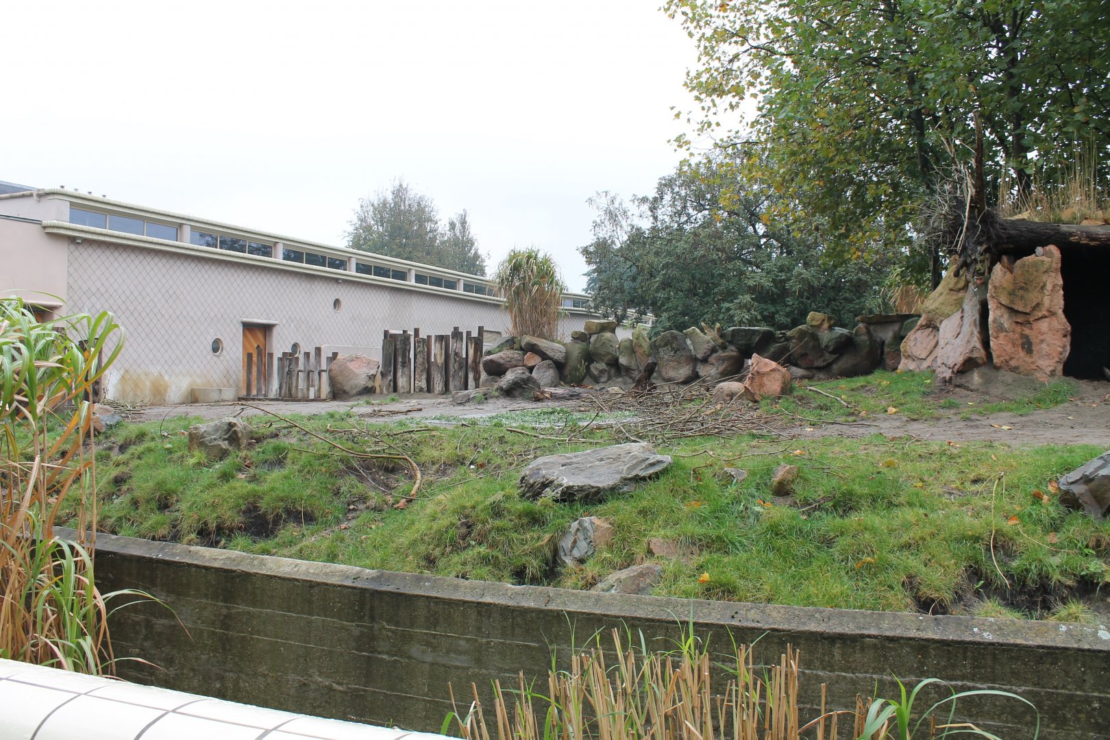 Enclosure Black rhino