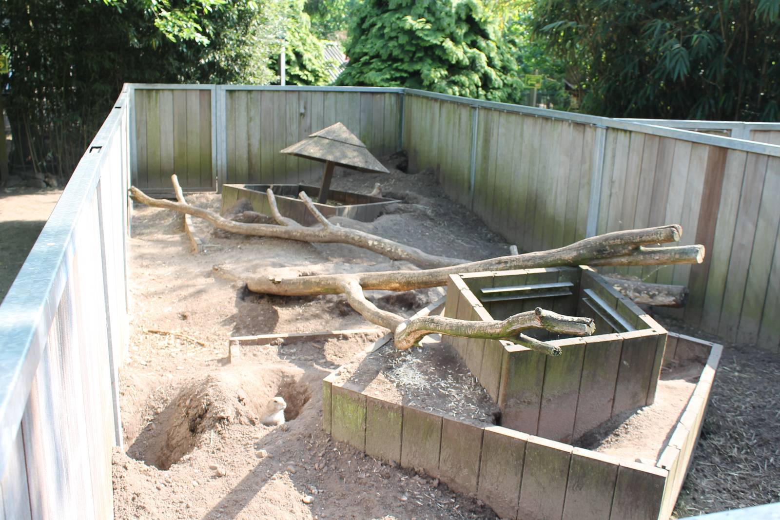 Enclosure Black-tailed prairie dog