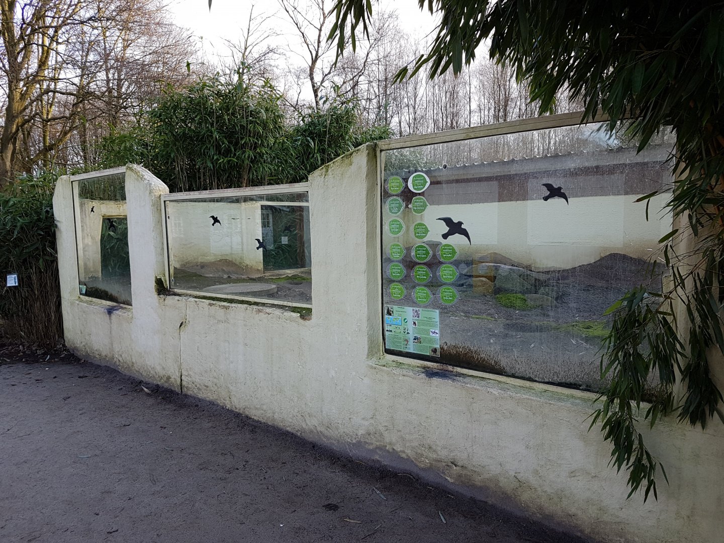 Enclosure Black-tailed prairie-dog