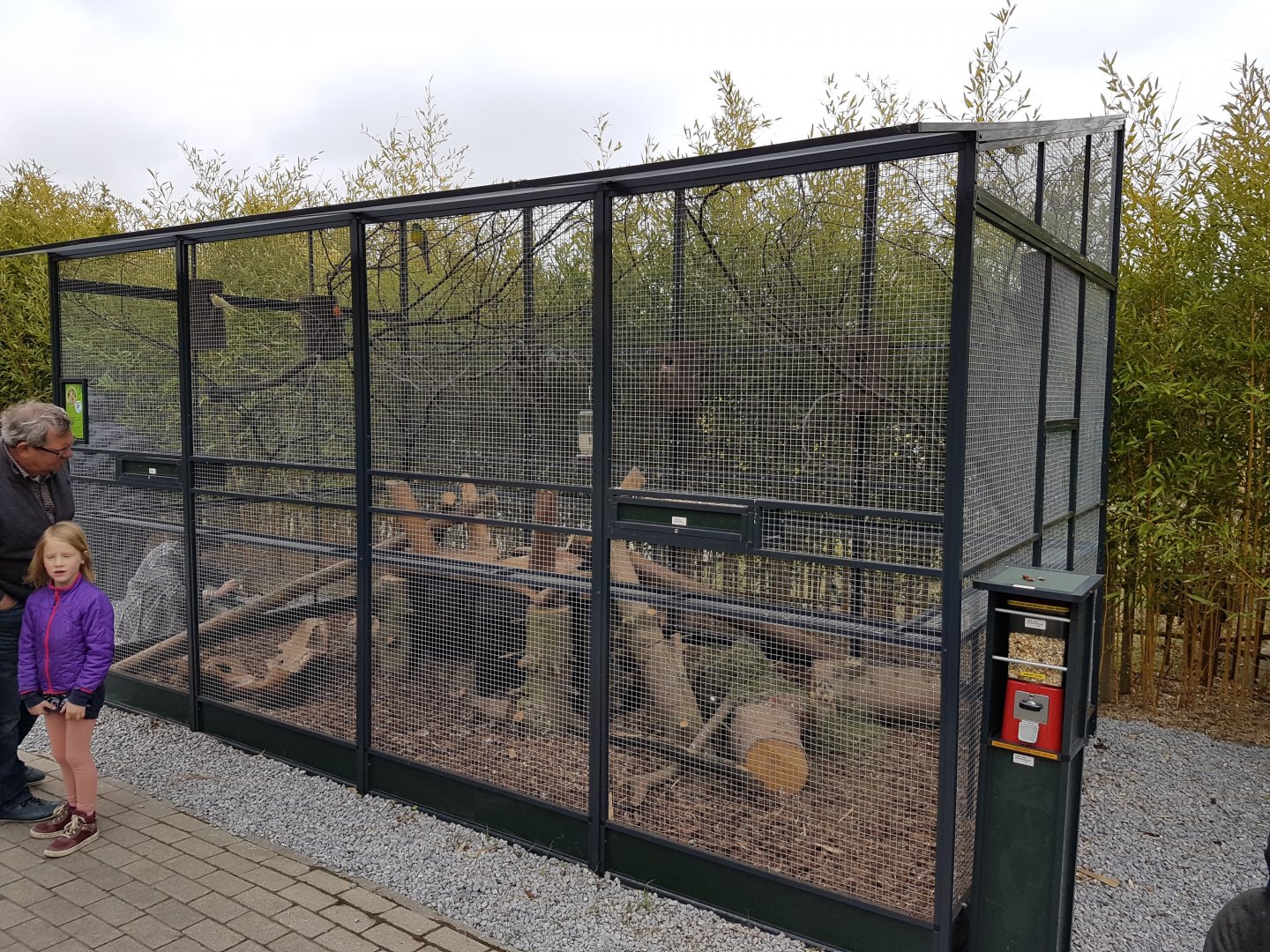 Enclosure Black-tailed prairiedog