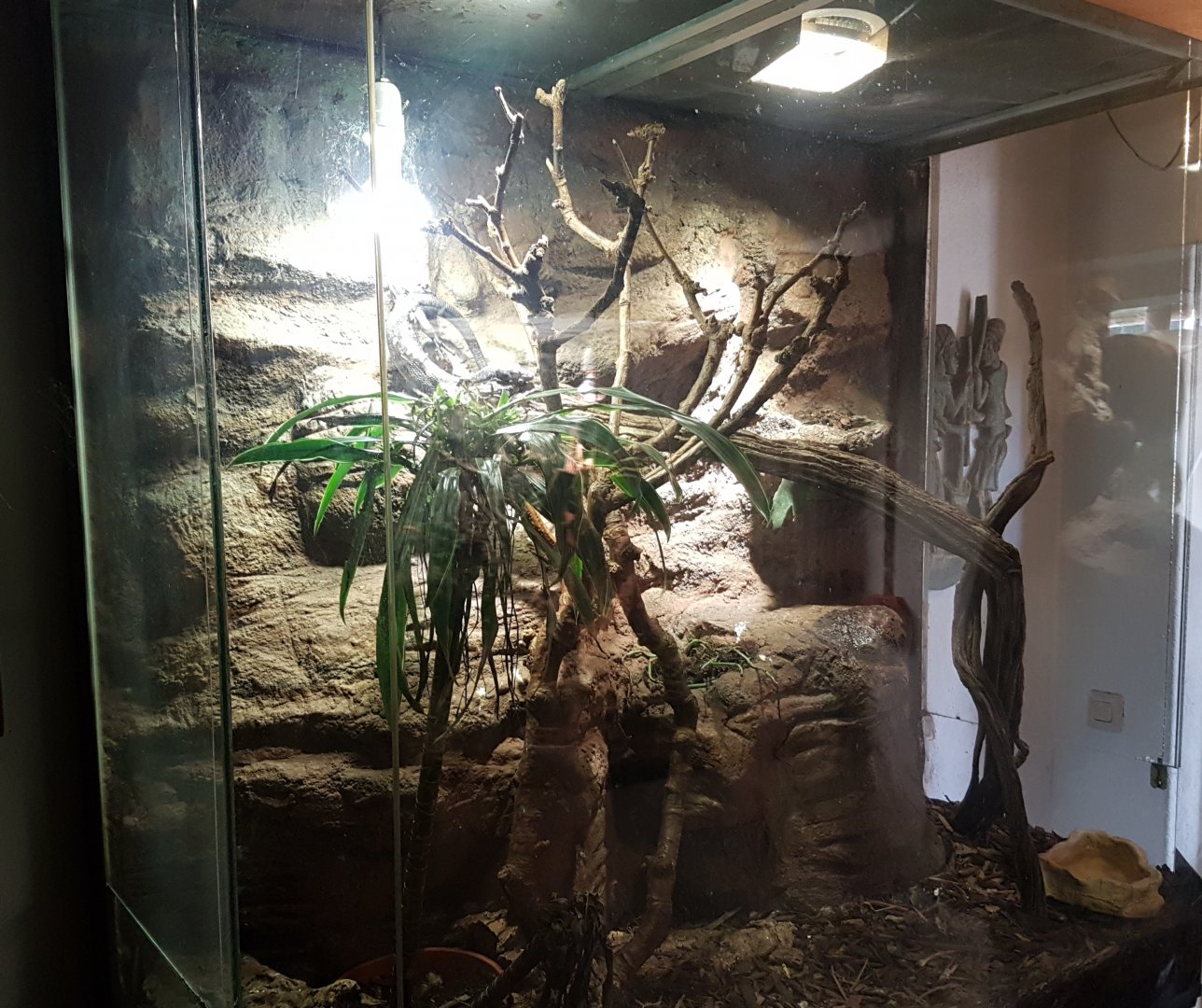 Enclosure Black tree-monitor