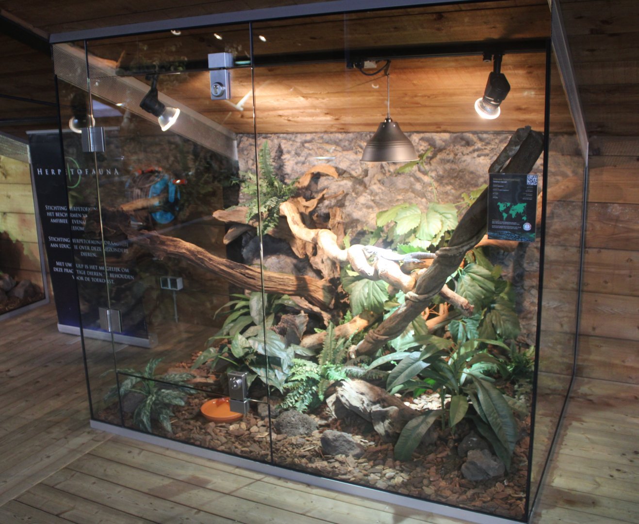 Enclosure Blue tree-monitor