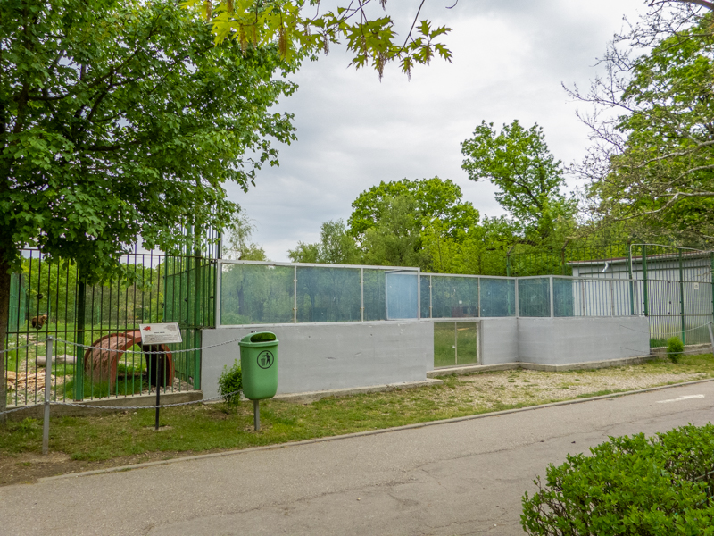 enclosure brown bear