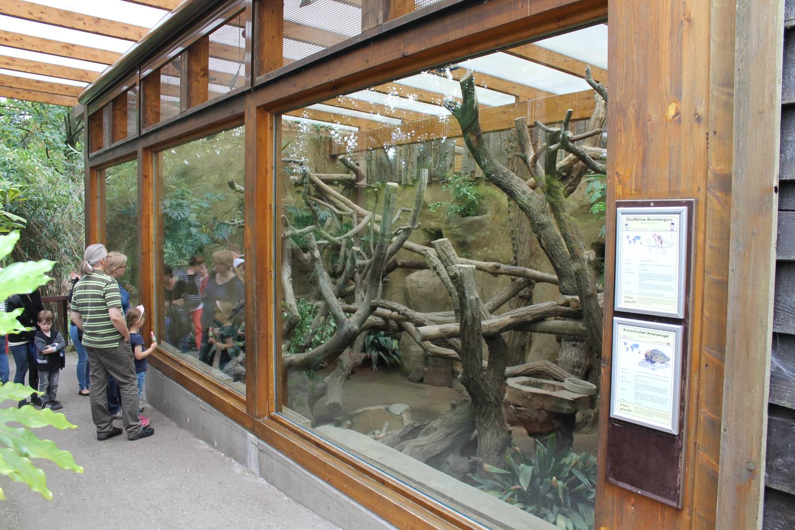 Enclosure Brush-tailed kangaroo - Tree kangaroo and Echidna