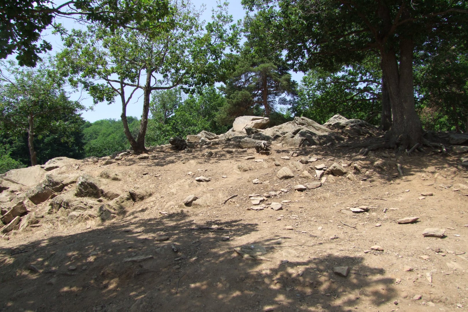 Enclosure Capra ibex - Rupicapra rupicapra