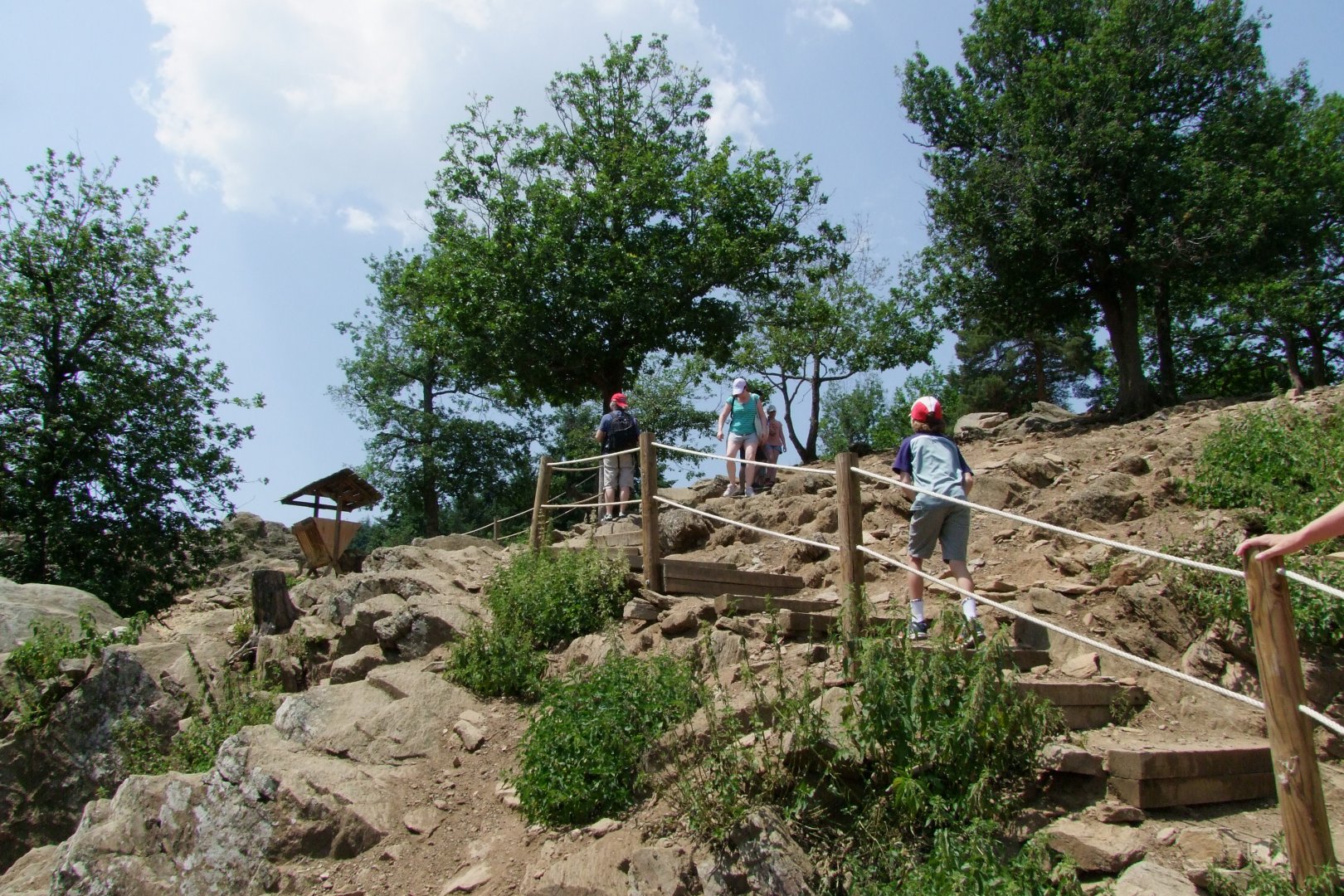 Enclosure Capra ibex - Rupicapra rupicapra