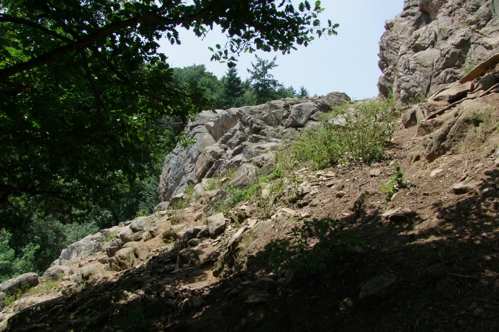 Enclosure Capra ibex - Rupicapra rupicapra