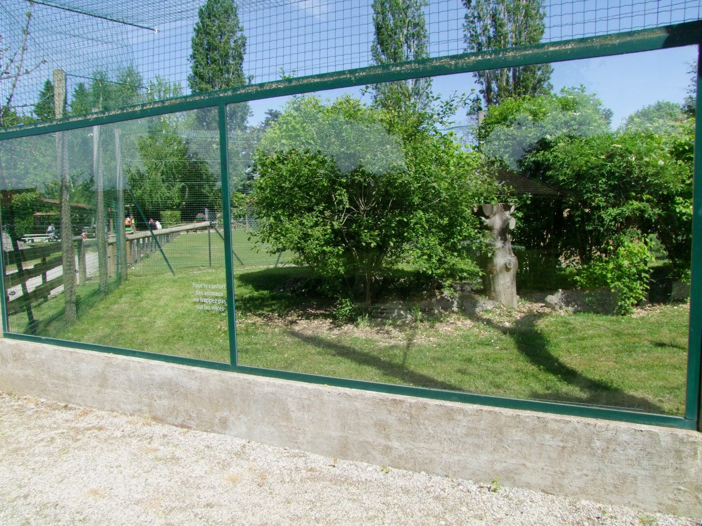 Enclosure Caracal caraca