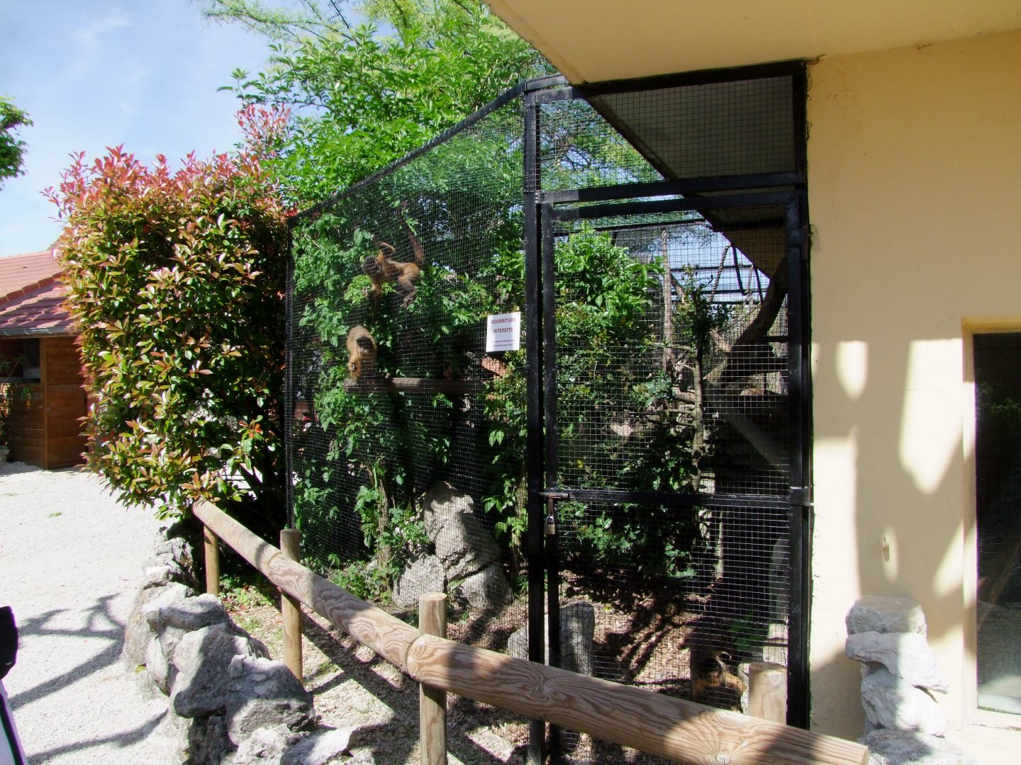 Enclosure Cebus apella