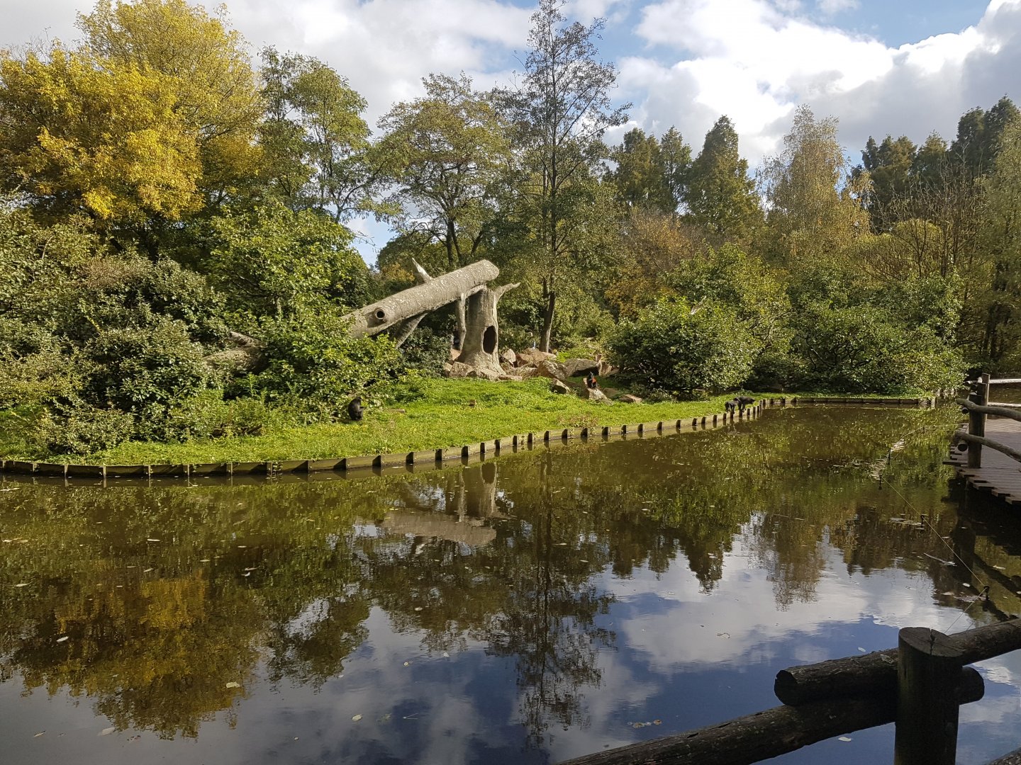 Enclosure Celebes black macaque