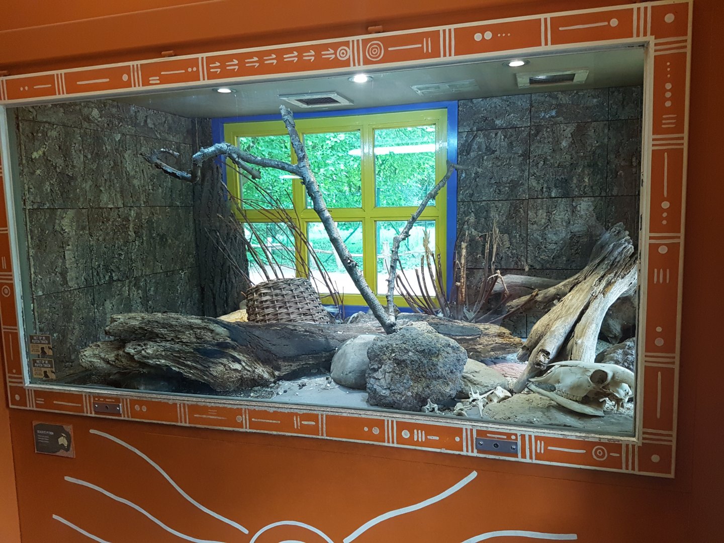 Enclosure Children's python