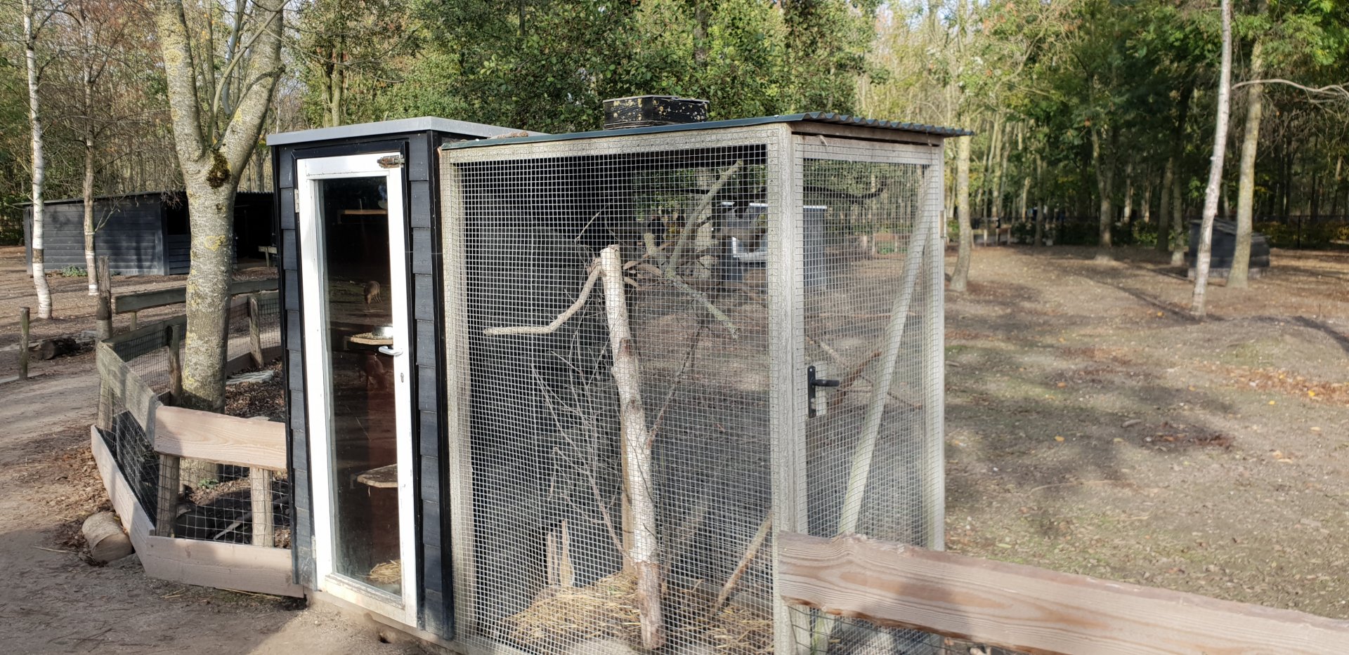 Enclosure Chinchilla