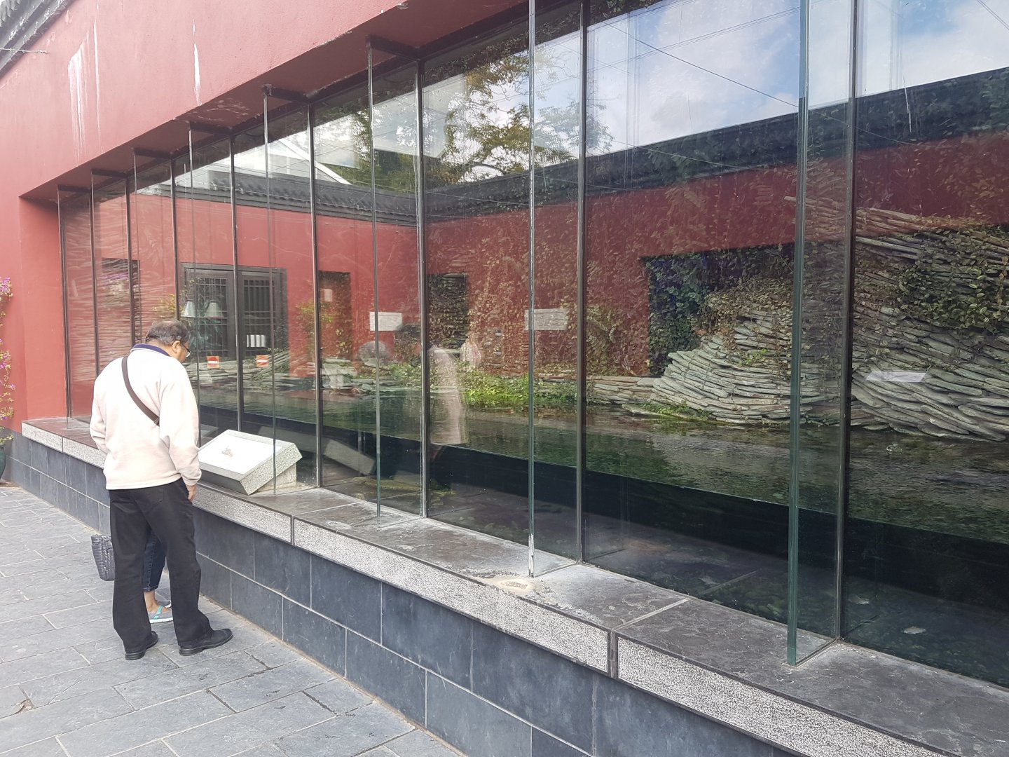 Enclosure Chinese alligator