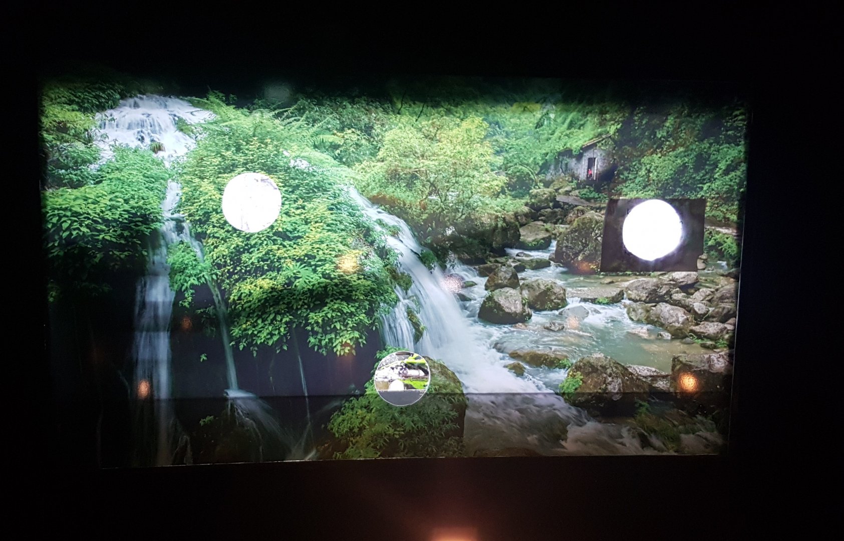 Enclosure Chinese crocodile-lizards - Still empty