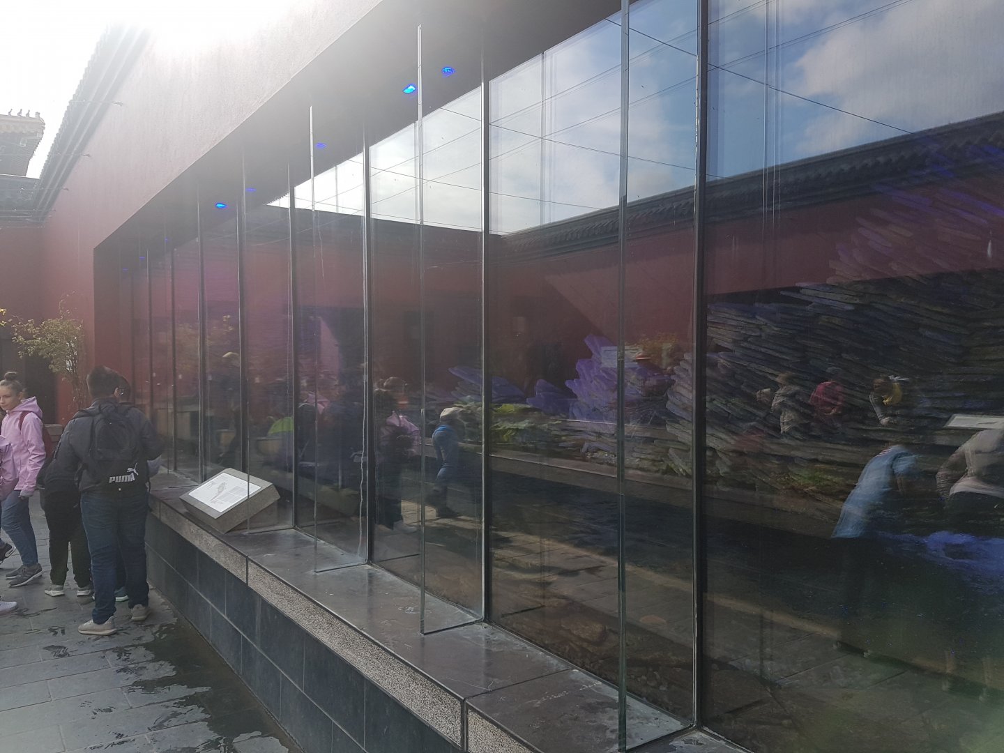 Enclosure Chinese giant salamander