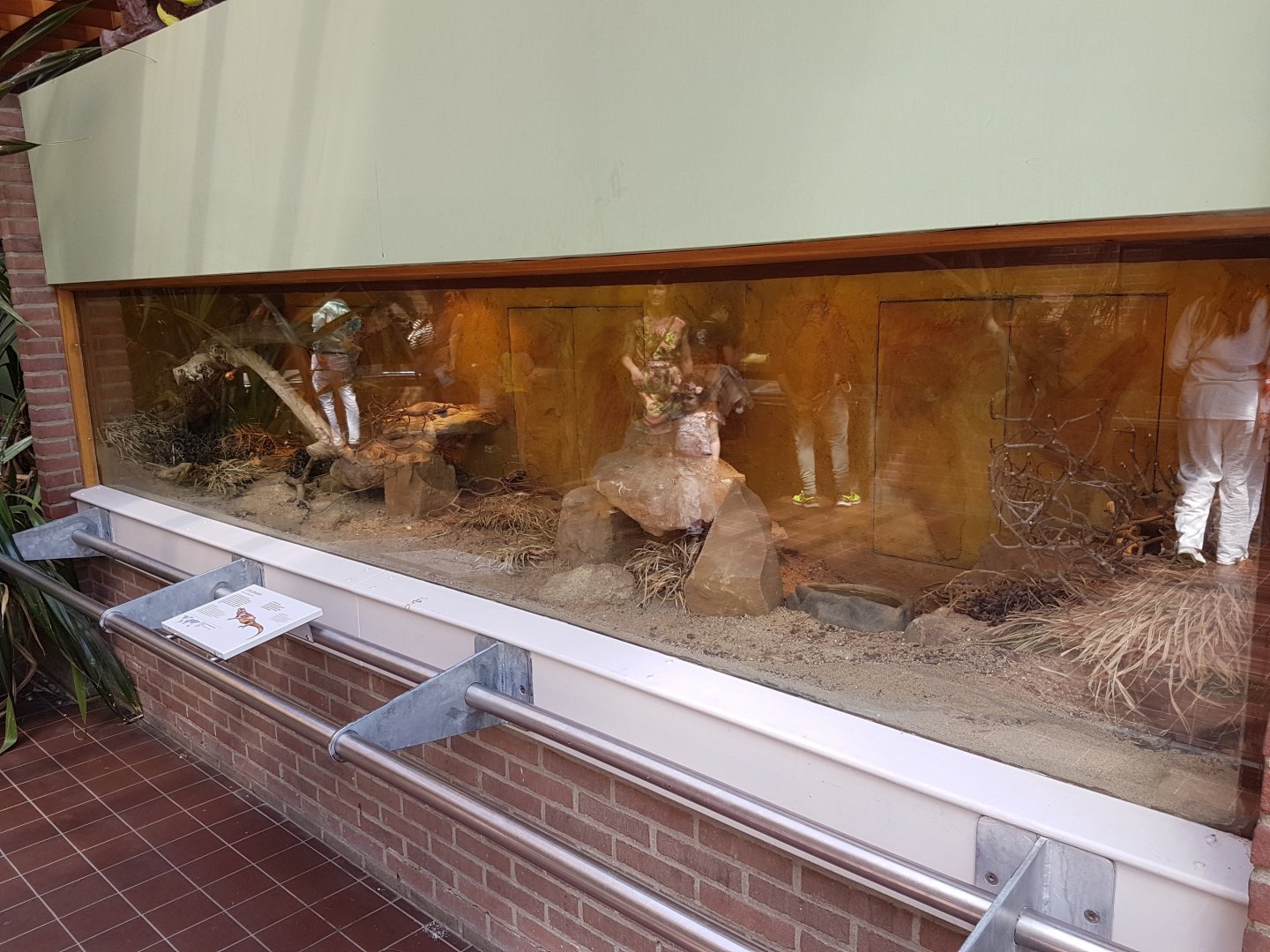 Enclosure Chuckwalla