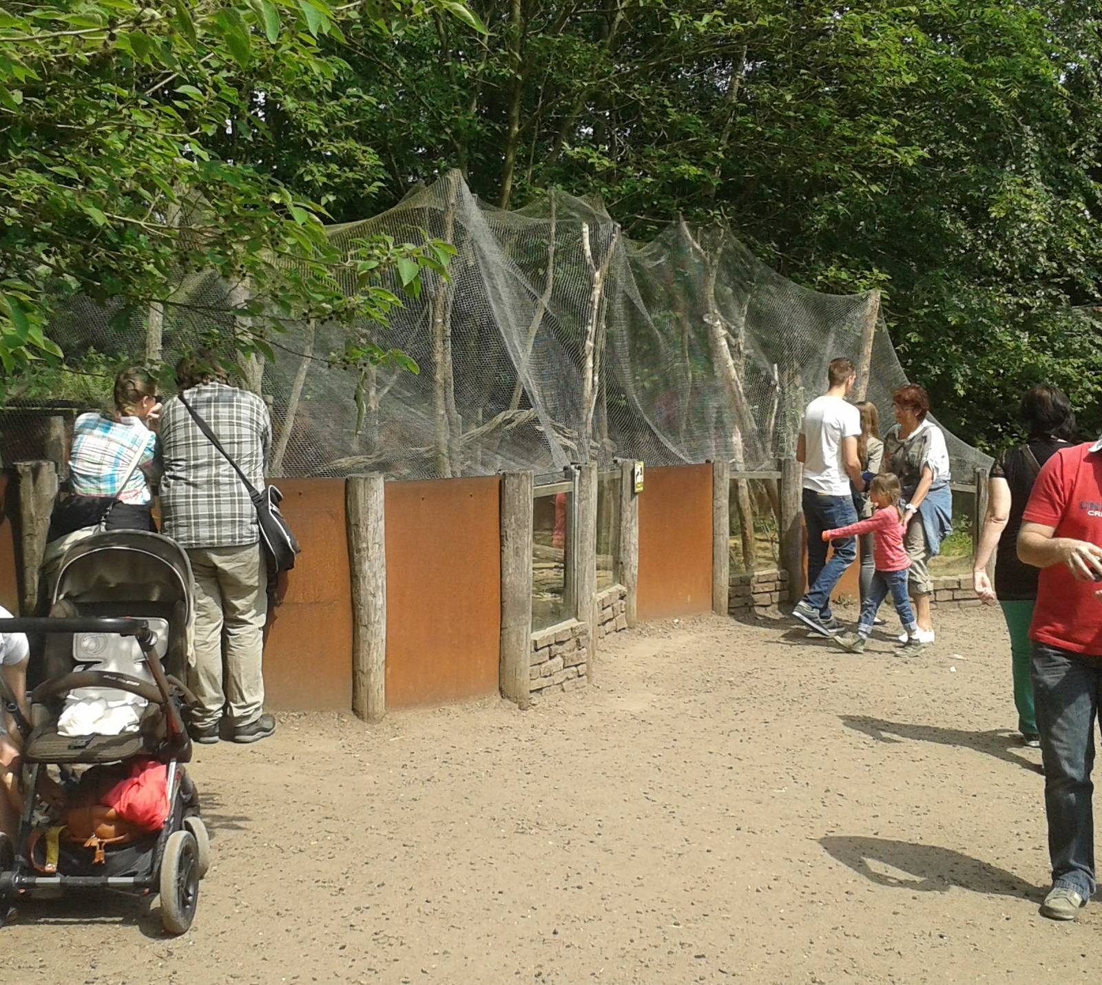 Enclosure Common cusimanse