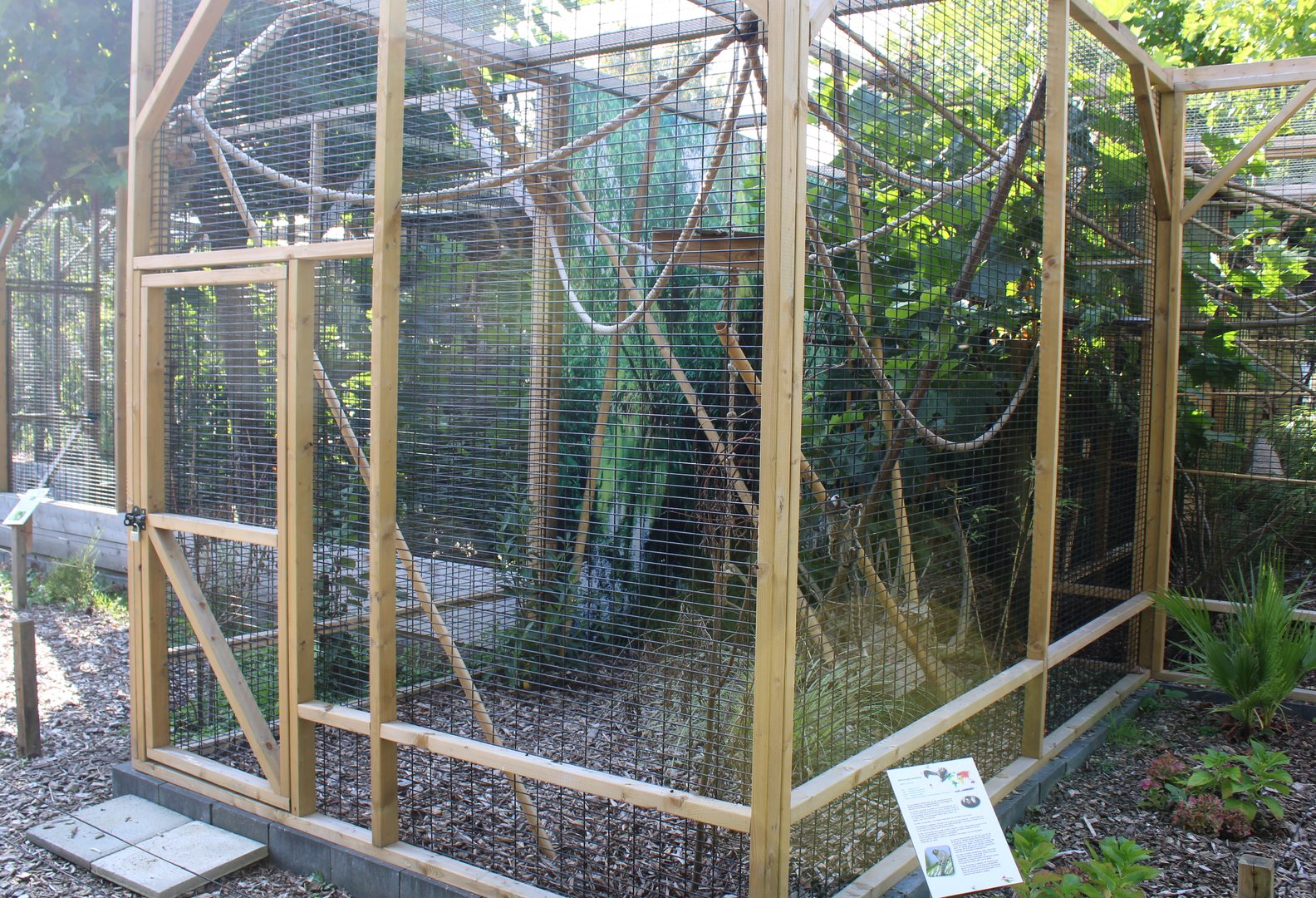 Enclosure Common marmoset