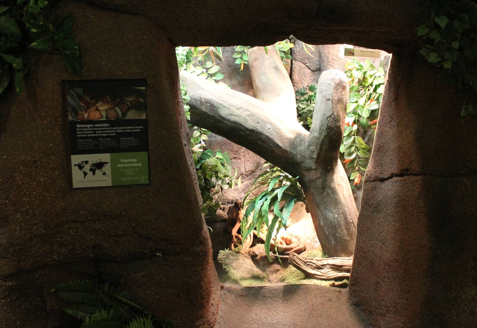 Enclosure Copperhead