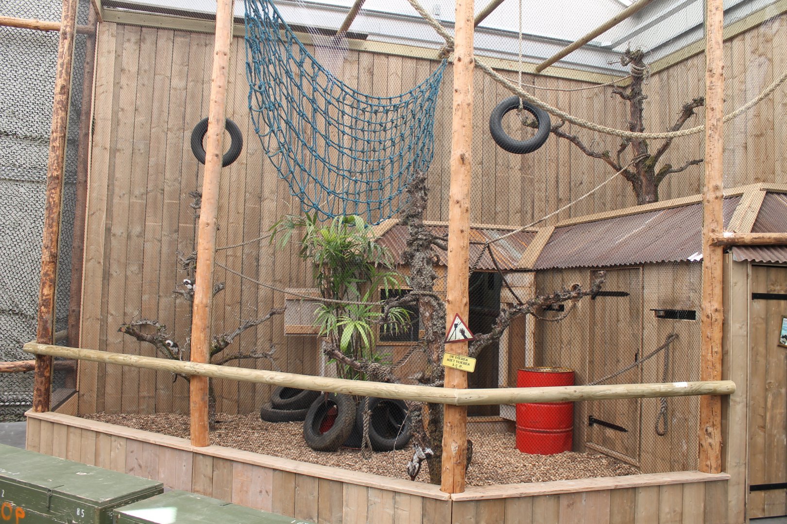 Enclosure Cotton-top tamarin