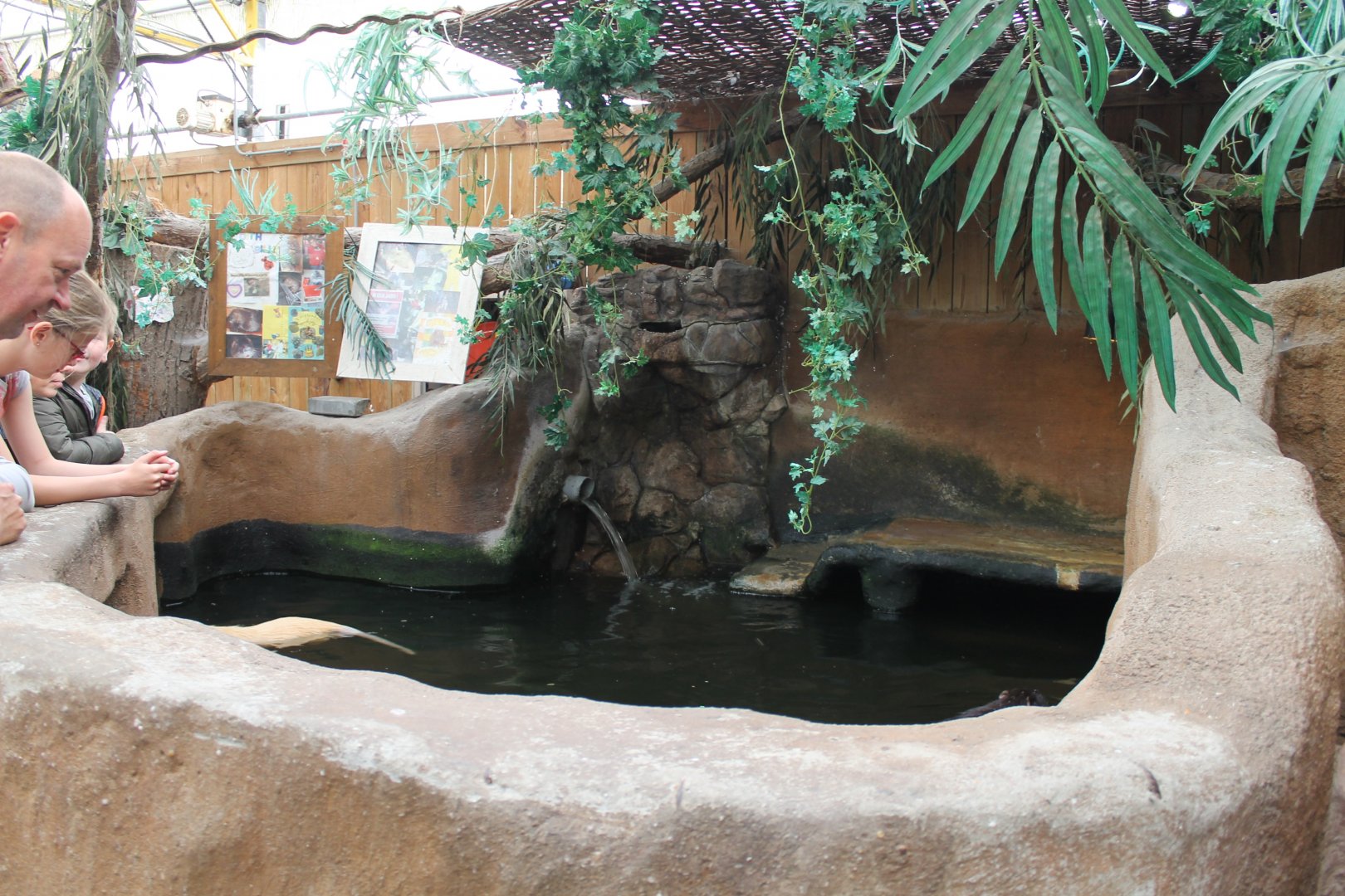 Enclosure Coypu