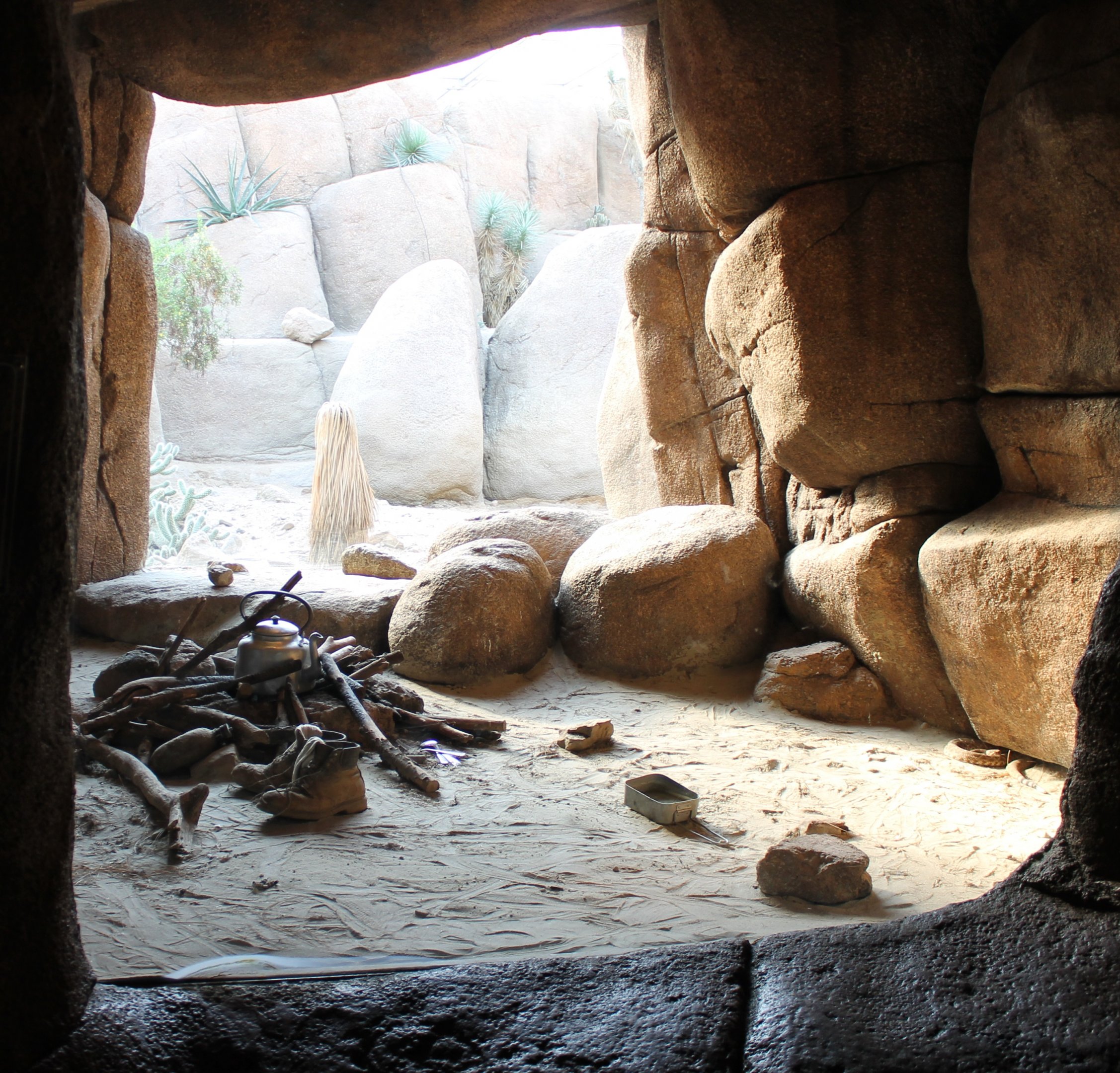 Enclosure Crotalus Ruber