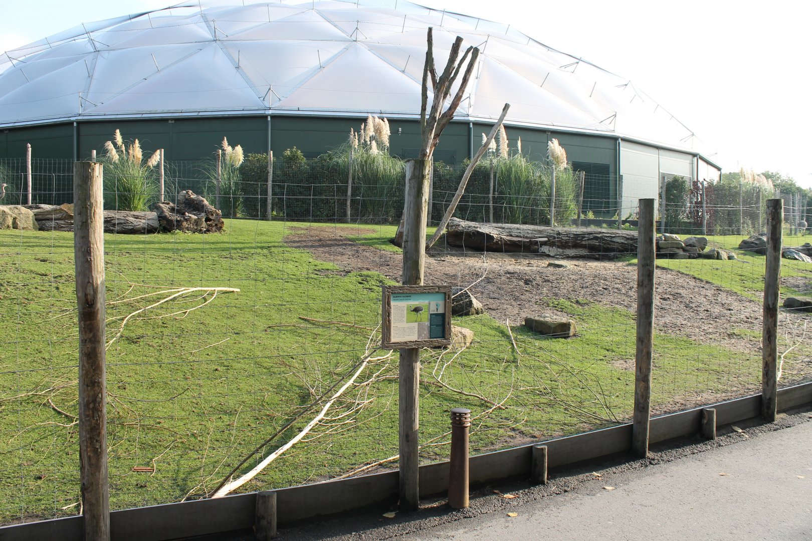 Enclosure Darwin rhea - Vicunca