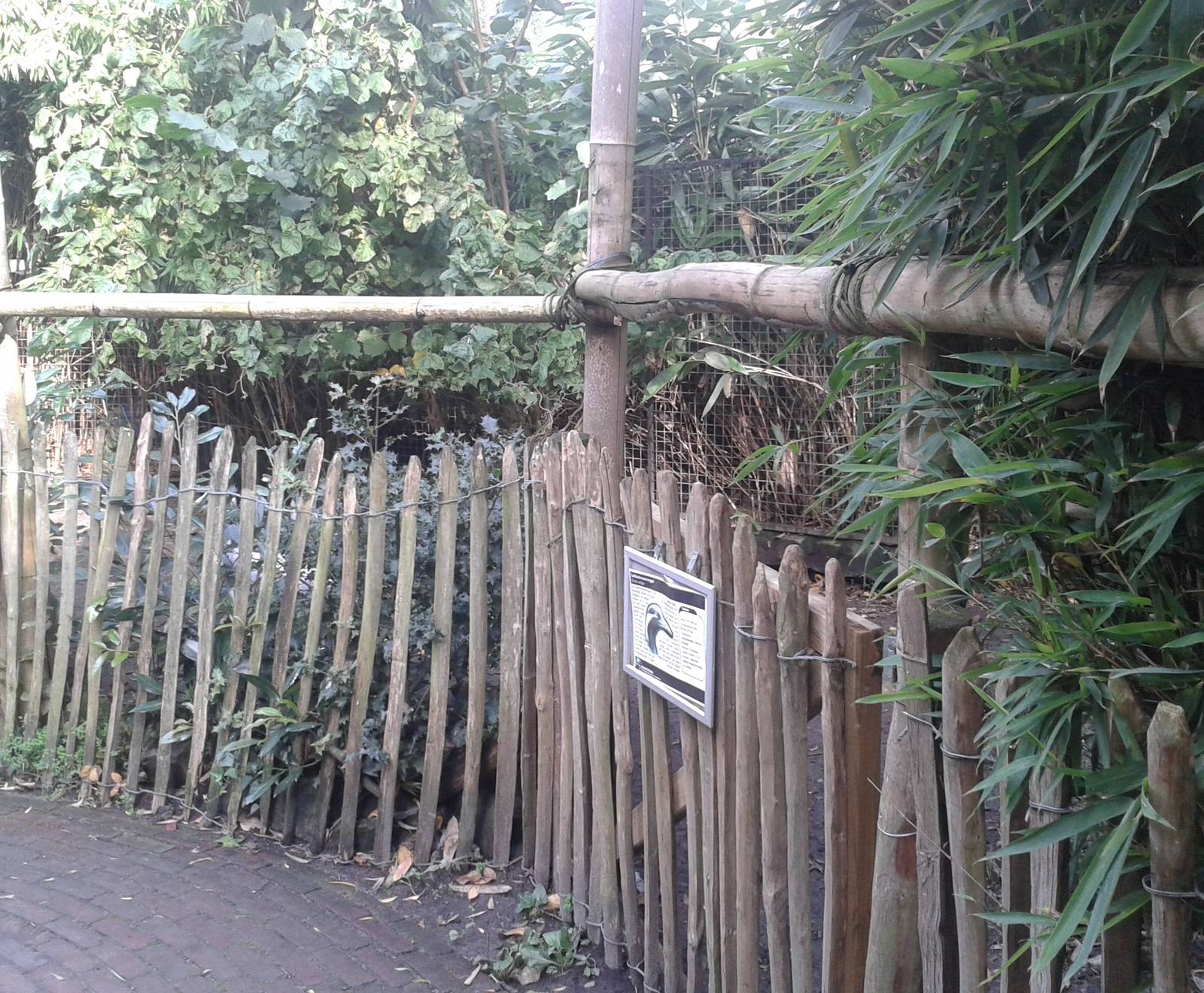 Enclosure Desmoiselle cranes