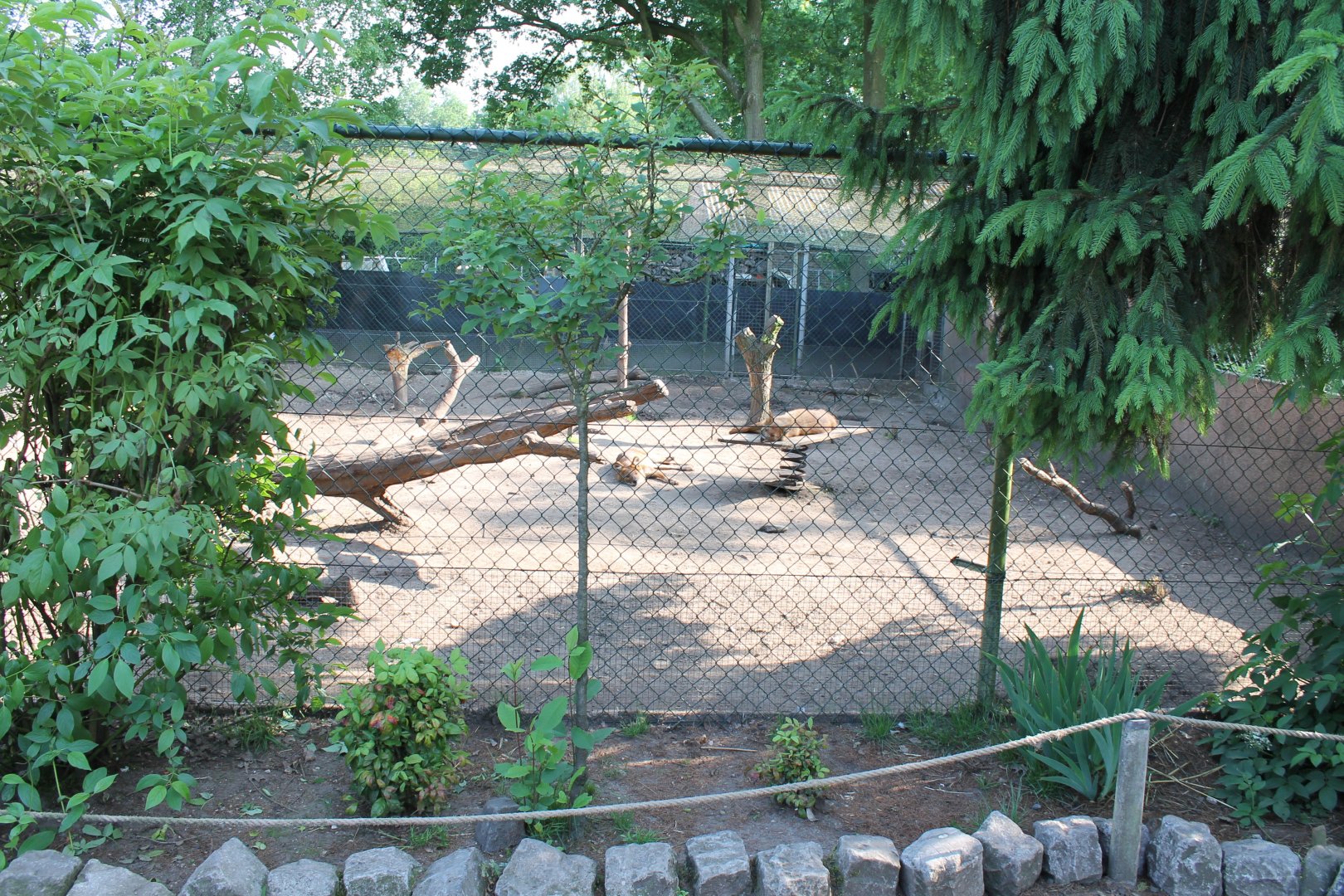 Enclosure Dhole