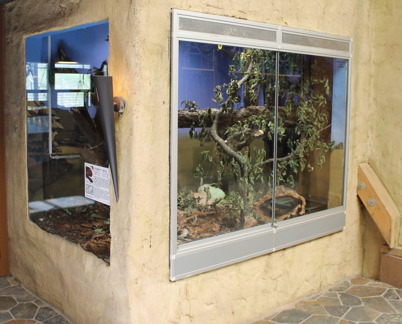 Enclosure Dumeril's boa