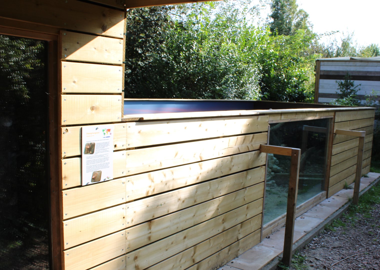 Enclosure Dwarf mongoose