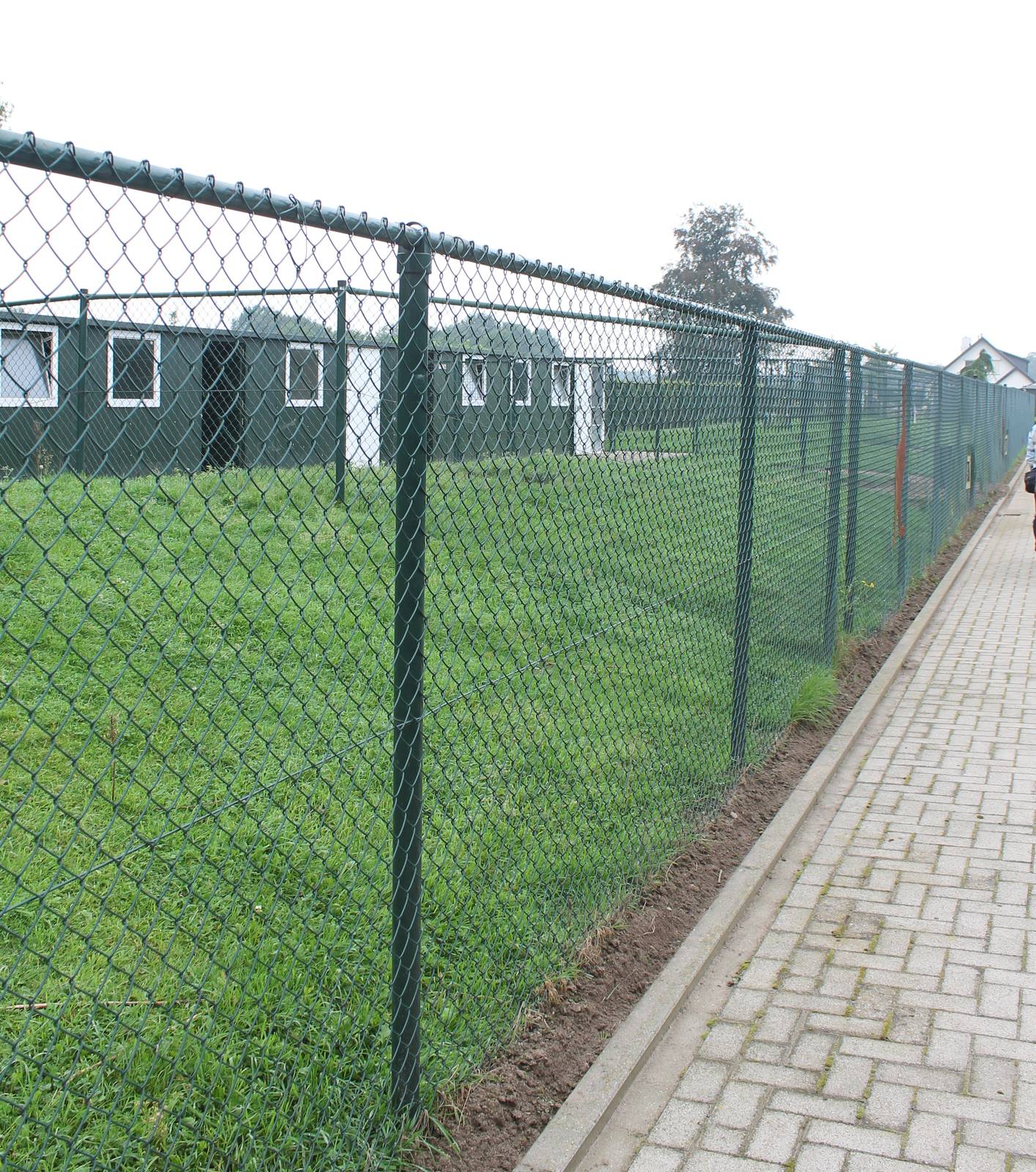 Enclosure Eastern wallaroo