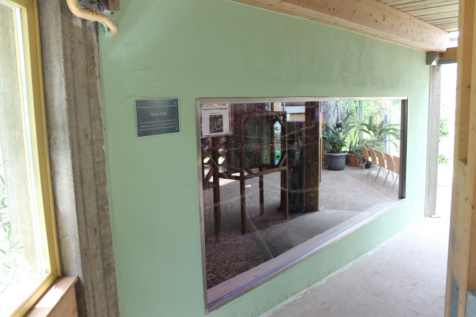 Enclosure Emperor tamarin